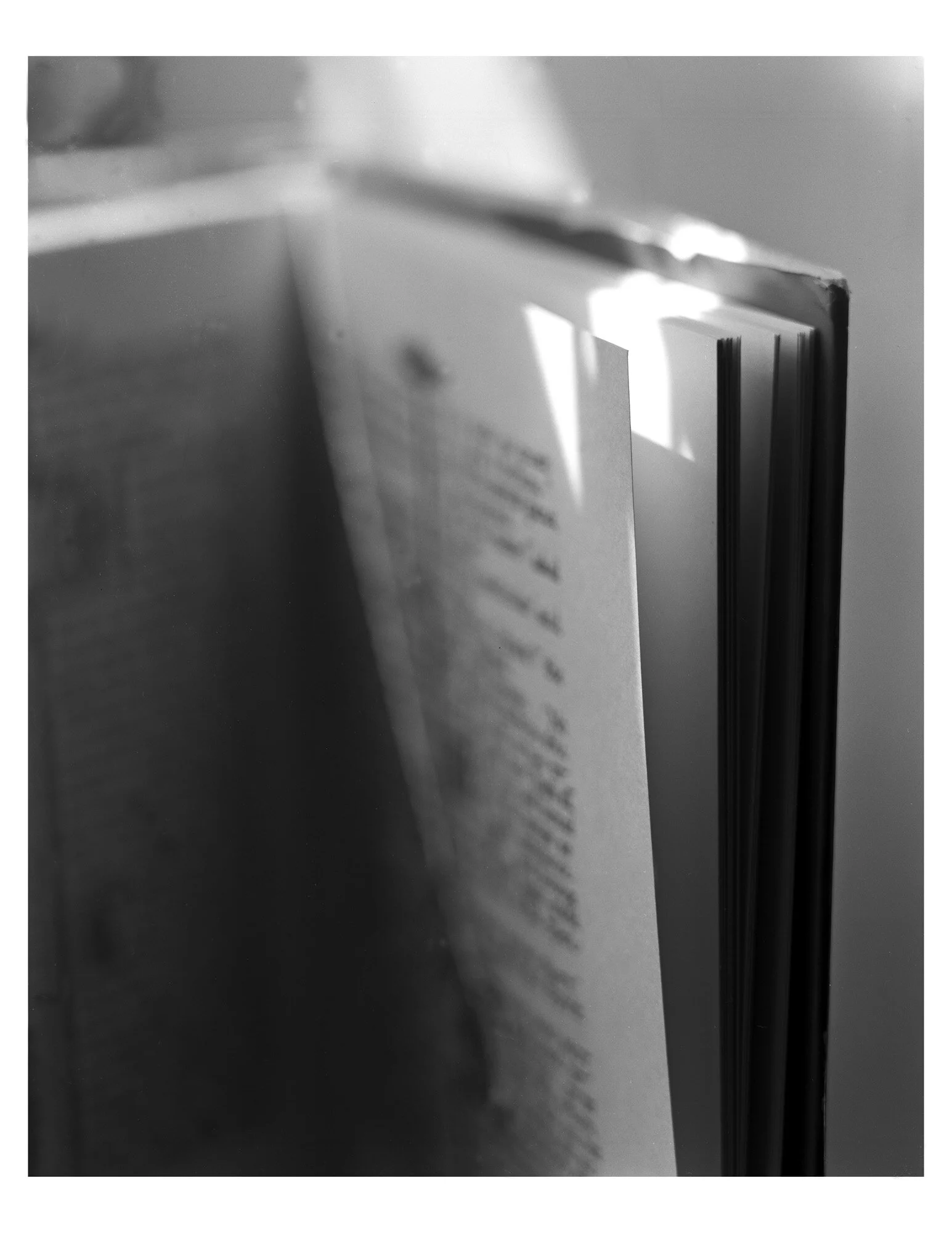 DahlmerPrint5_LARGEFORMAT.jpg