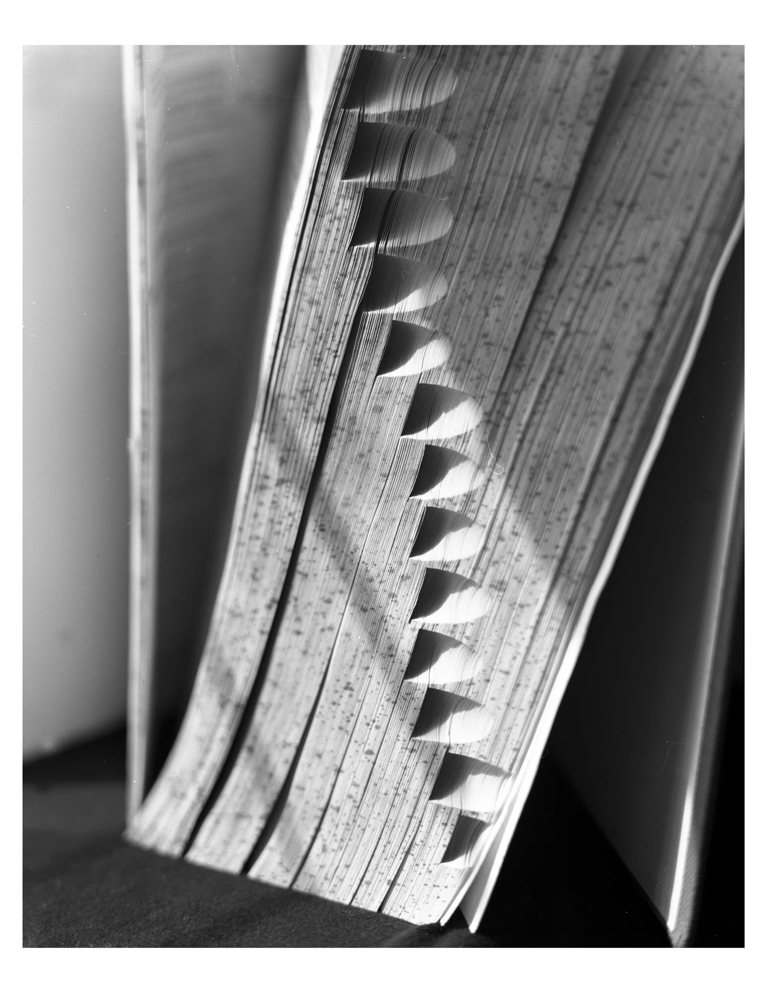 DahlmerPrint6_LARGEFORMAT.jpg