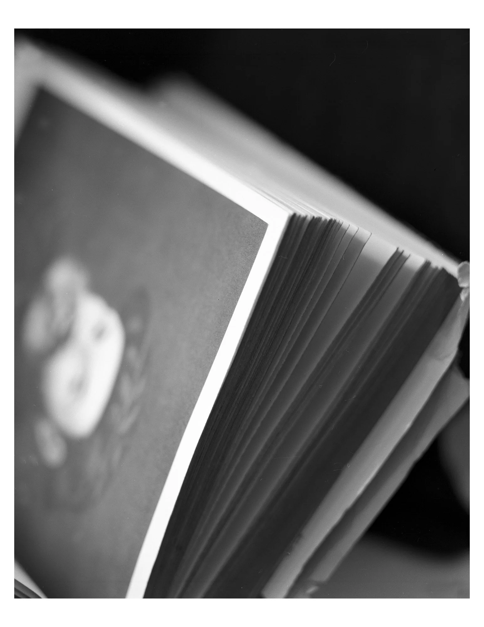 DahlmerPrint9_LARGEFORMAT.jpg