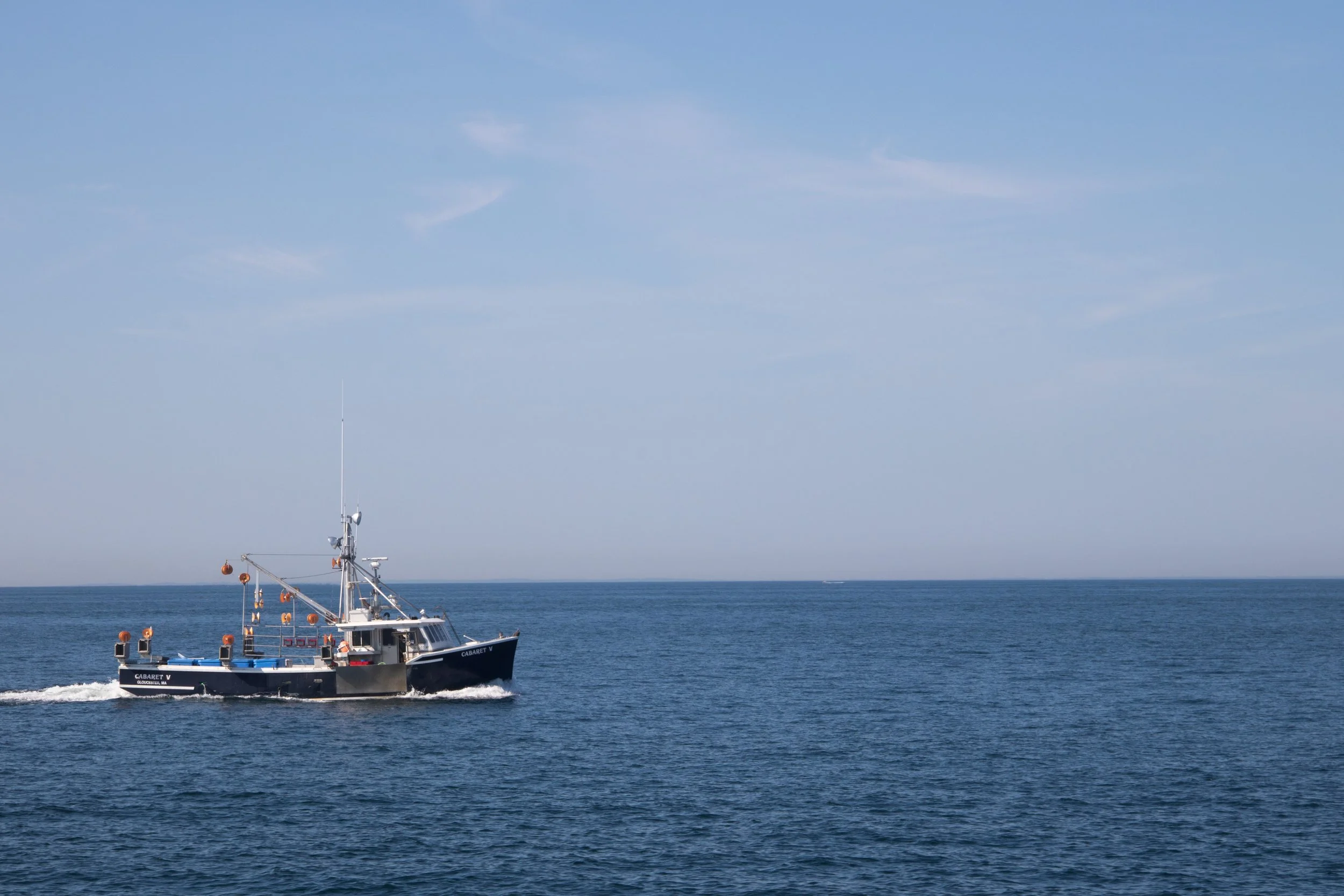 IMG_8469.JPG