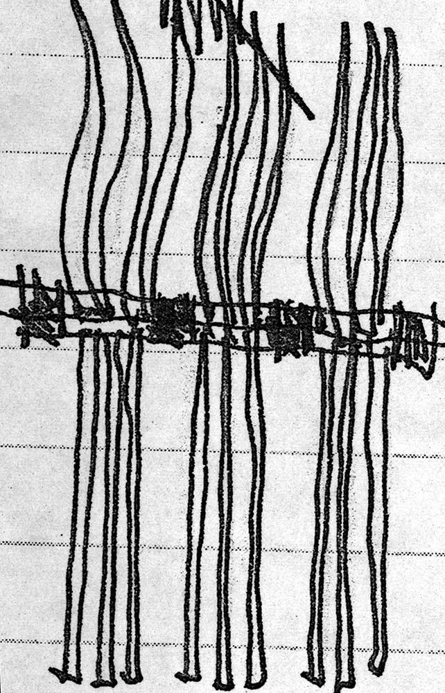 brn_01y_OPT.jpg