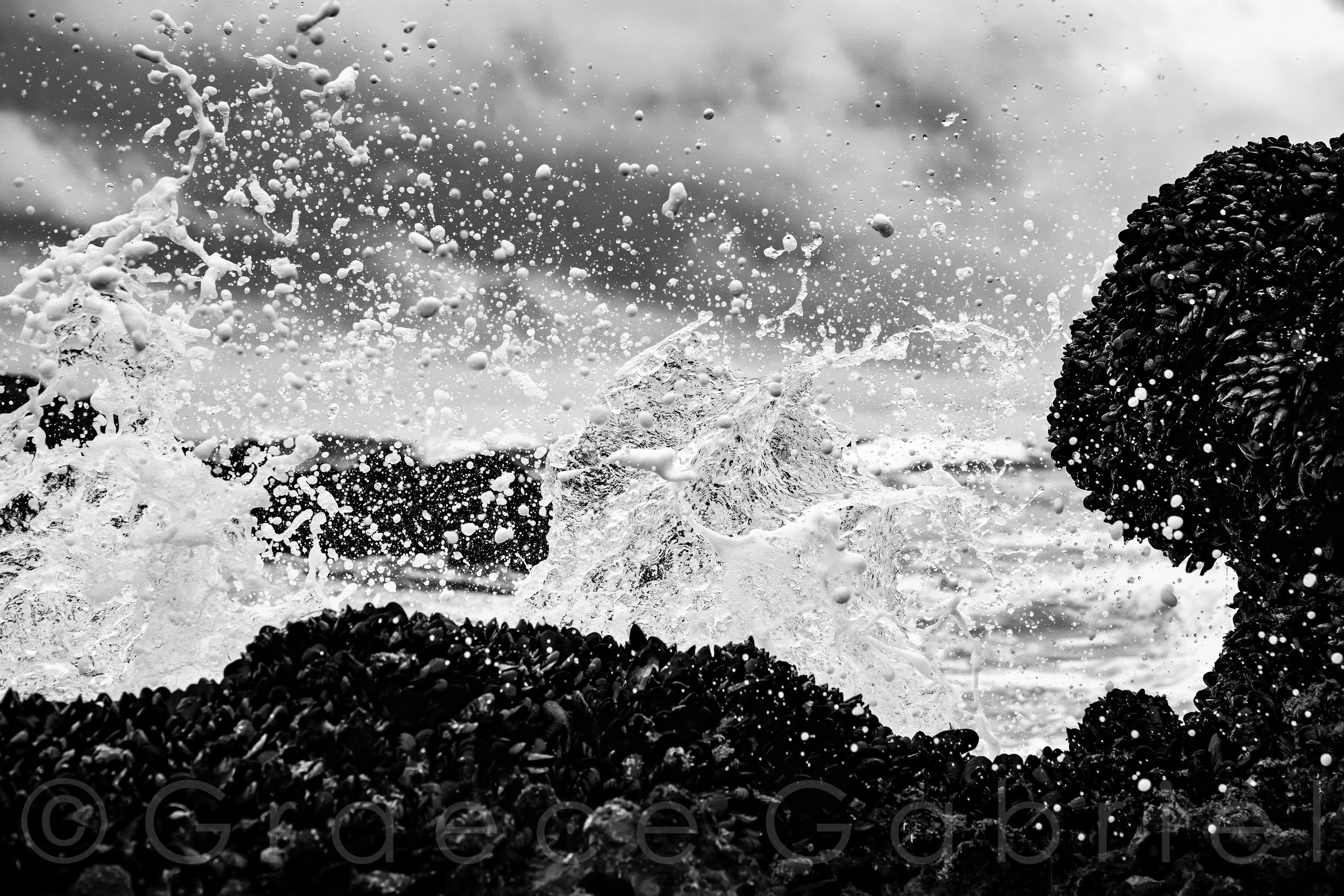 $325.00 “EPIPHANY” 24X36 INCH ARCHIVAL, PHOTOGRAPHIC PRINT IN BLACK FRAME