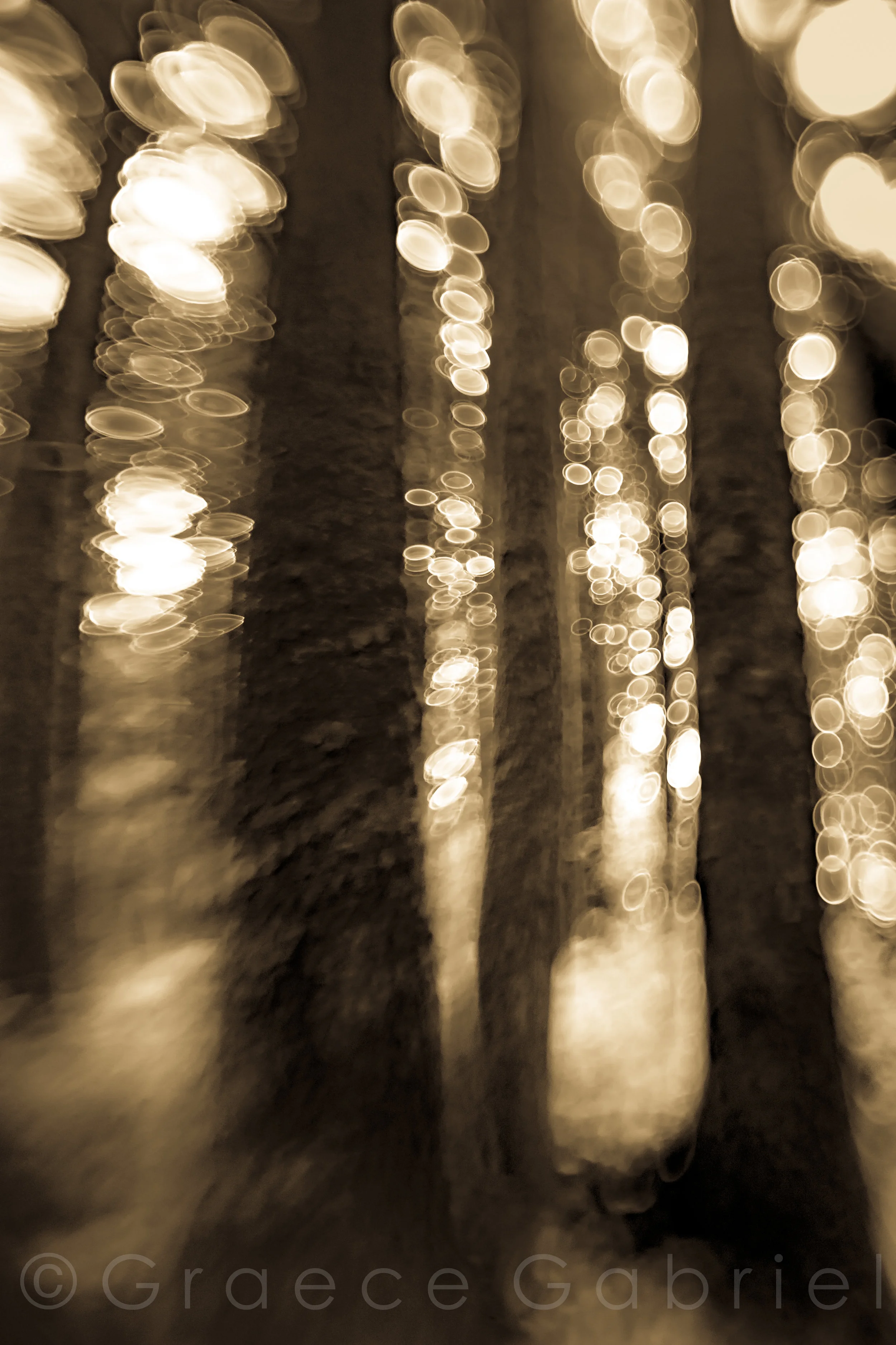 $235.00 “OTHERWORLD” Double Matted 13x19 inch archival, photographic print in 18x24 inch black frame.