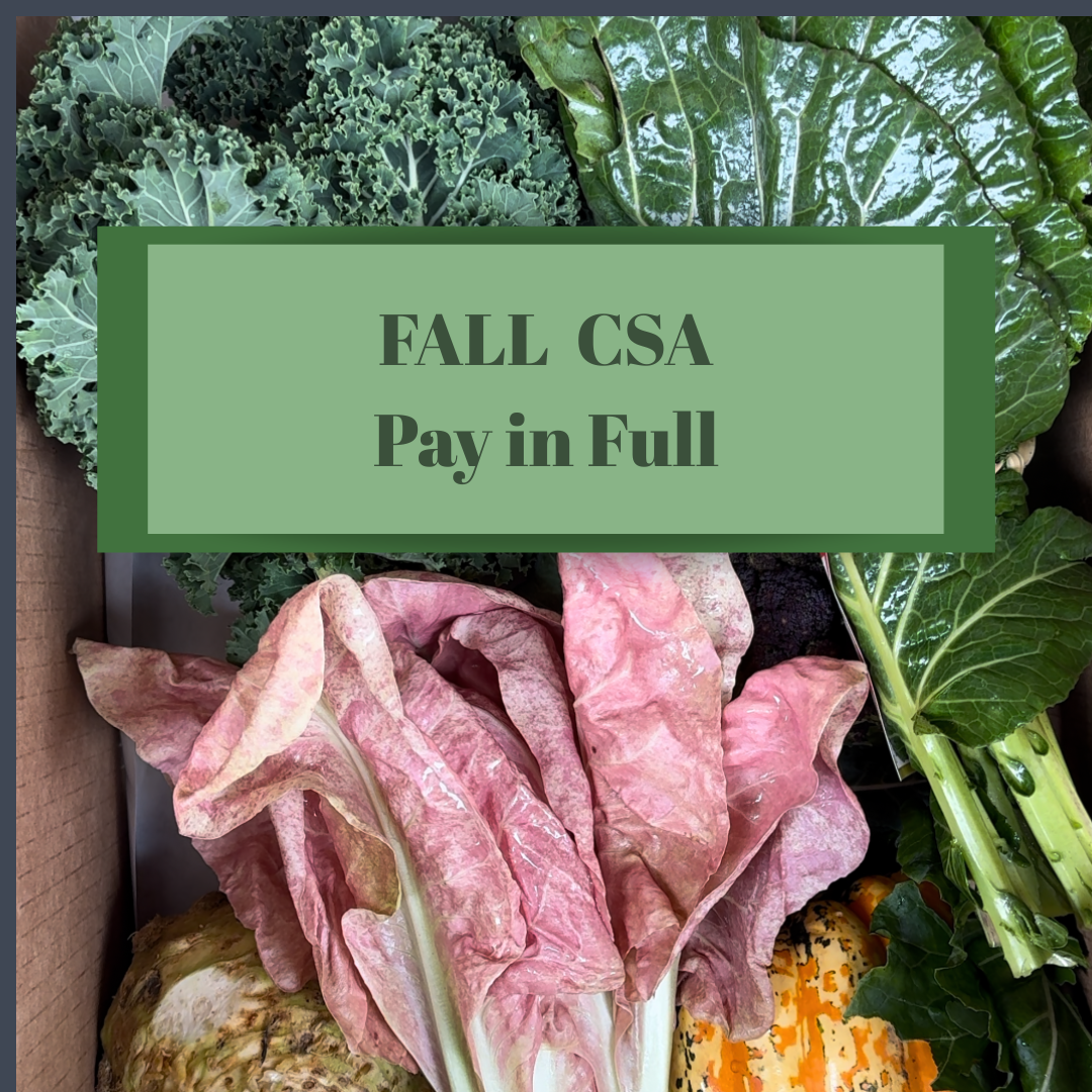 FallPF.png