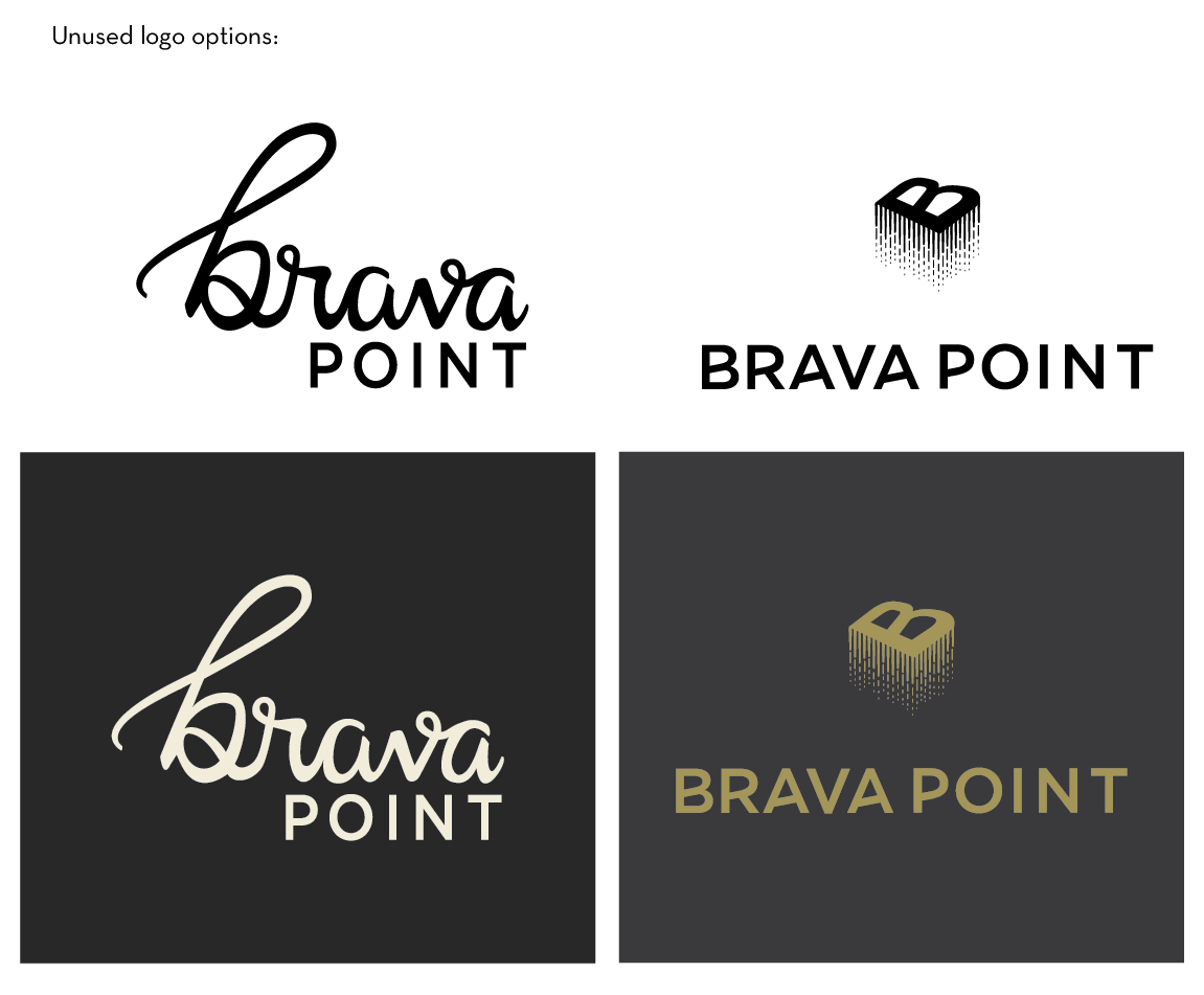 alternative logo explanation-01.png