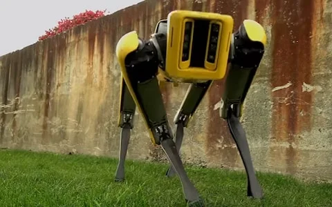 Home Security Concerns? This Will Scare Robbers to Death