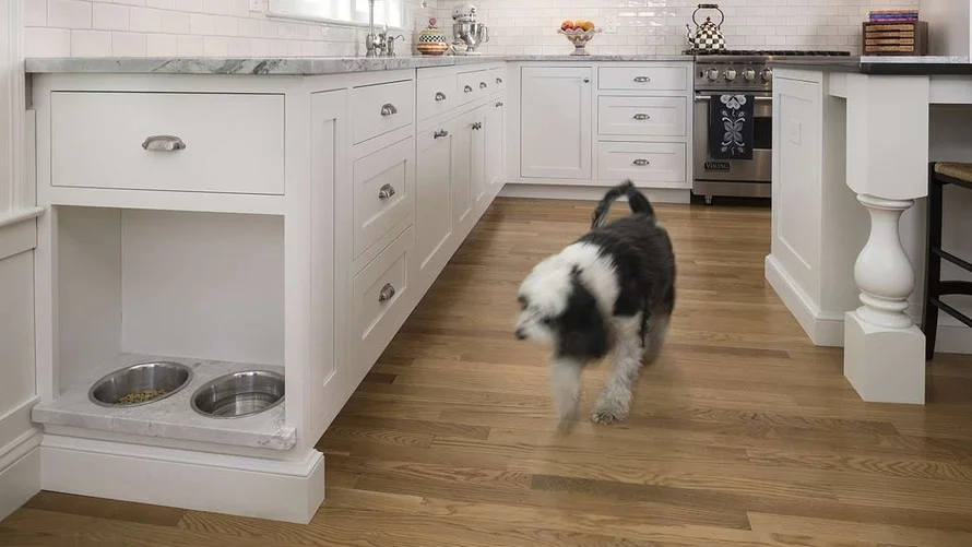 Dog Cabinets.jpg