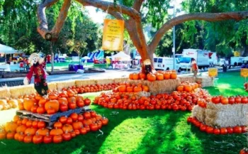 kidspace-pumpkin-festival-featured.jpg