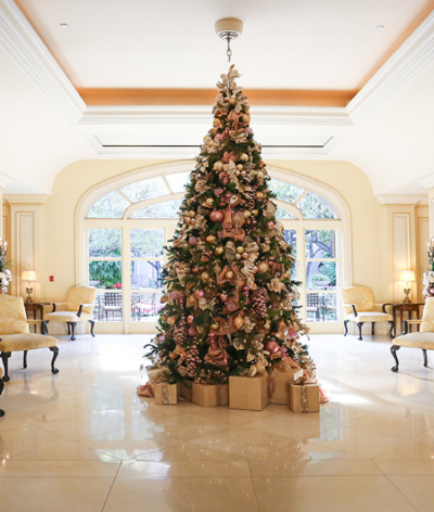 Langham Tree.png