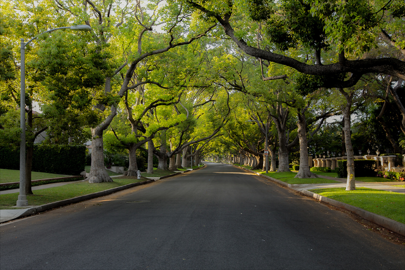 LA Home Header image _CROP.png