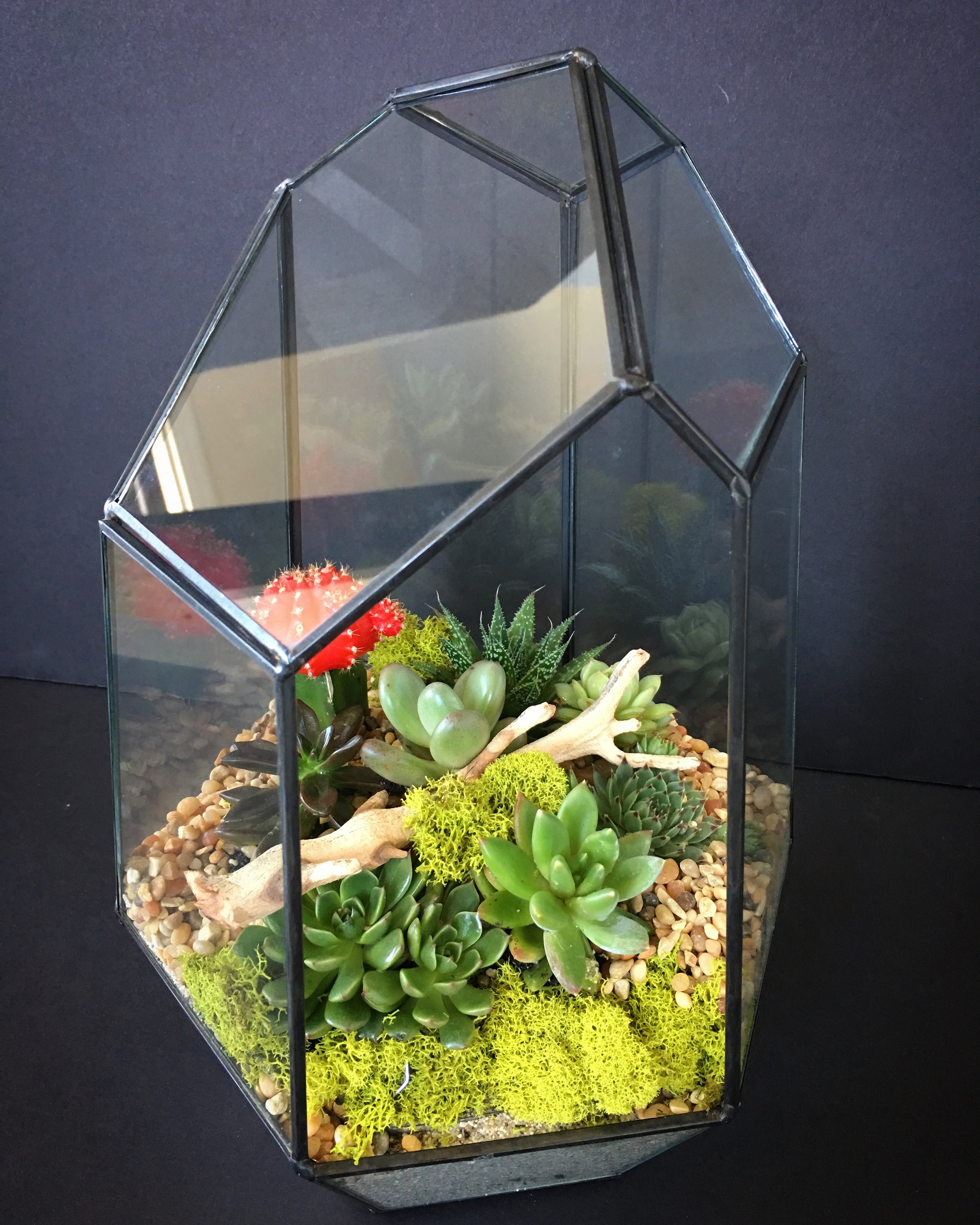 Glass Terrarium