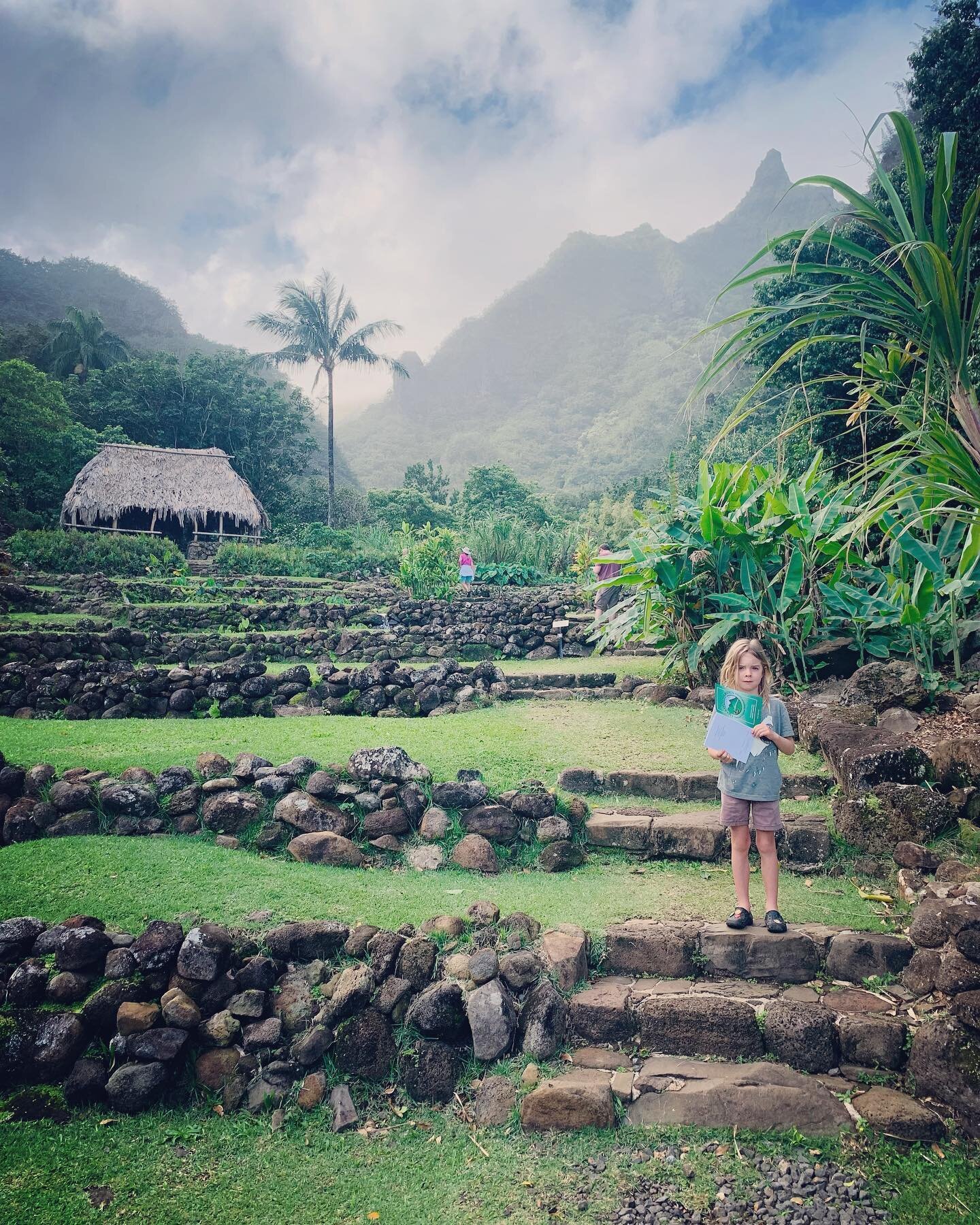 Limahuli gardens were a cherished highlight! These terraced farms were planted by Polynesian voyagers approximately 1,000 years ago and the plants tell a magical story of the islander&rsquo;s gorgeous culture and their complex understanding of medici