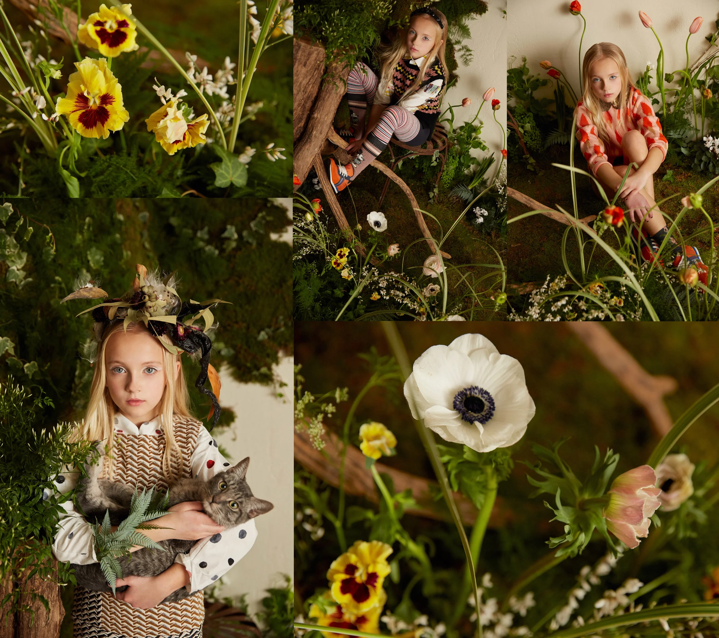 Papillon magazine issue #2