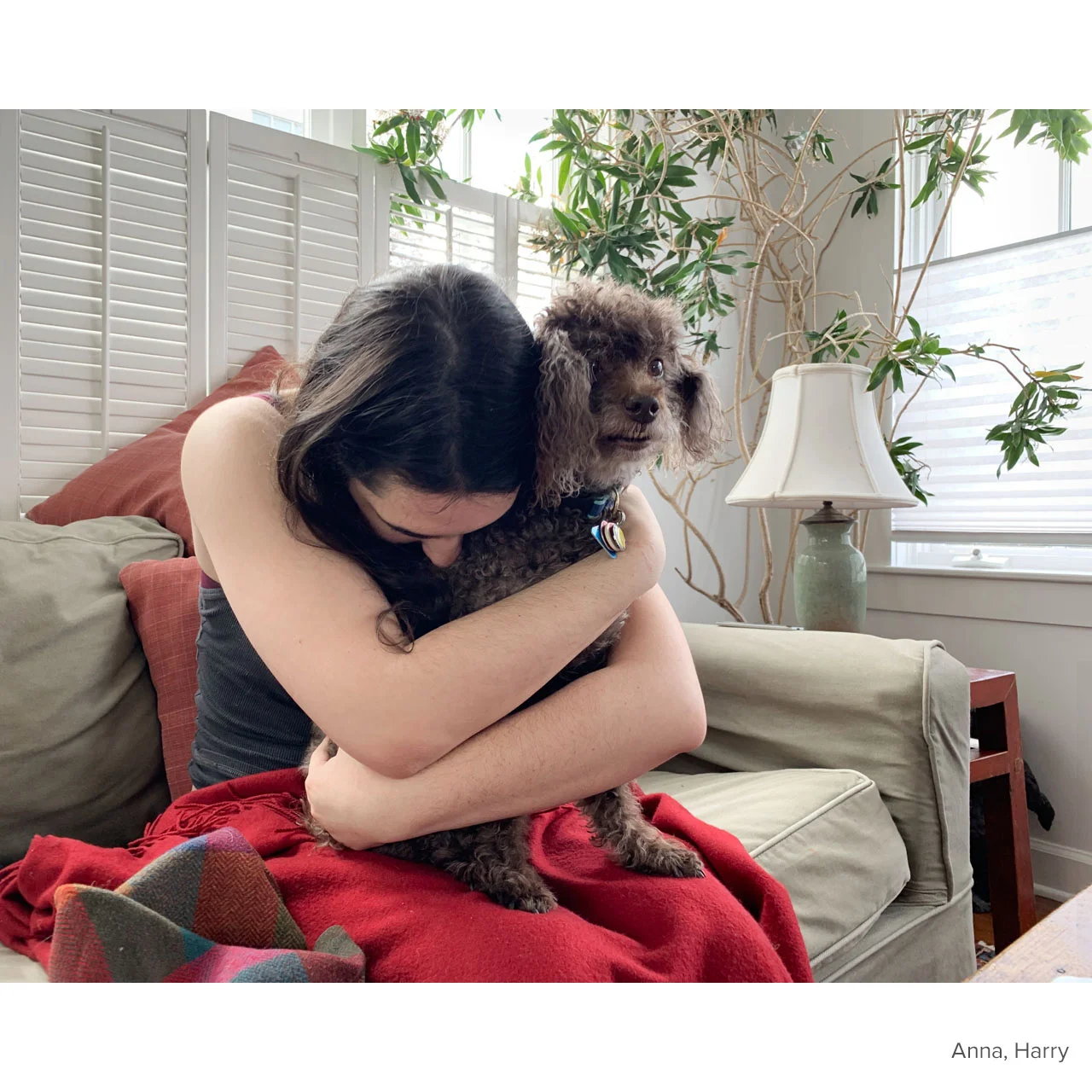 1812-02c,Anna,Harry,sofa,1280,caption.jpg
