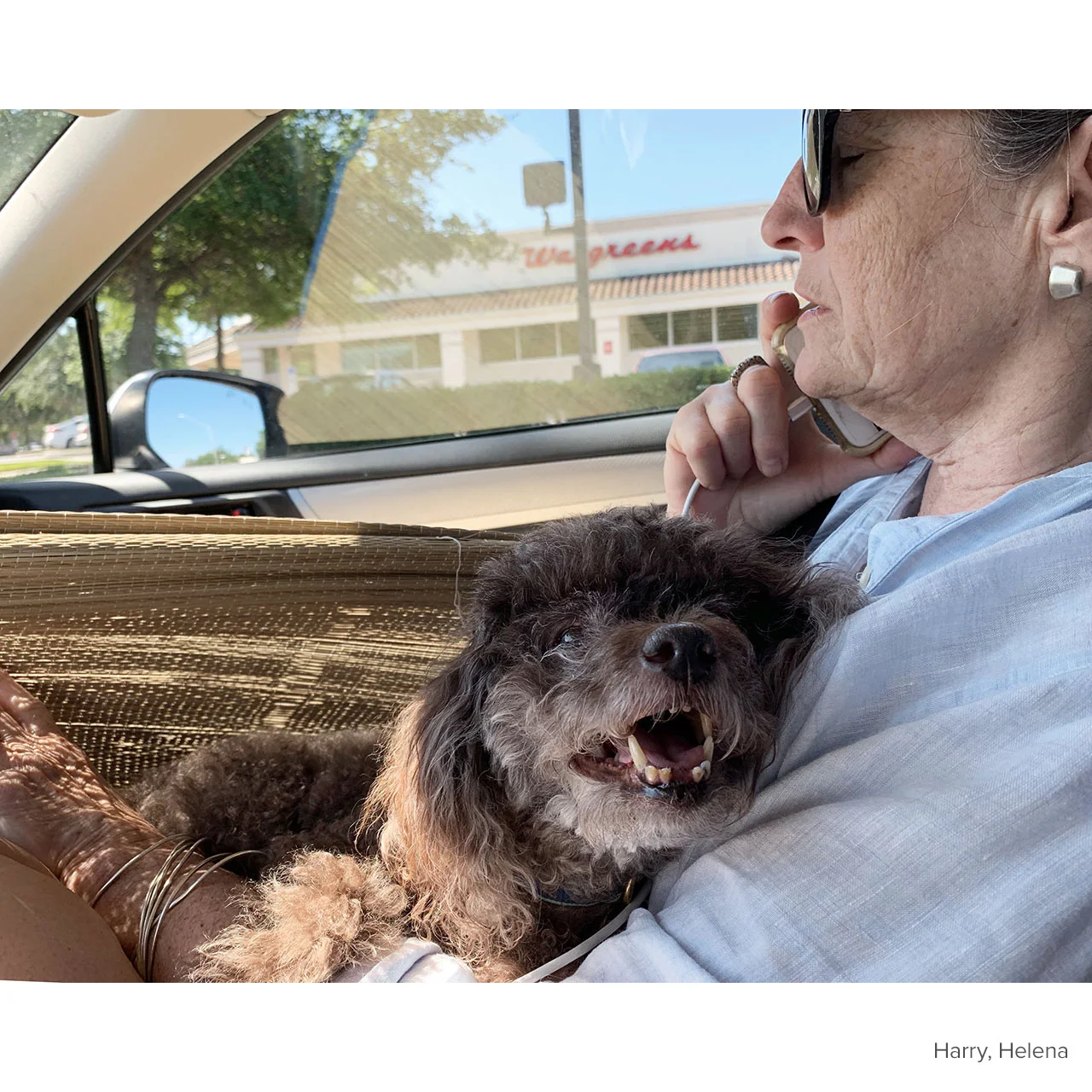 Harry,Helena,car,2019-04-12b,caption.jpg