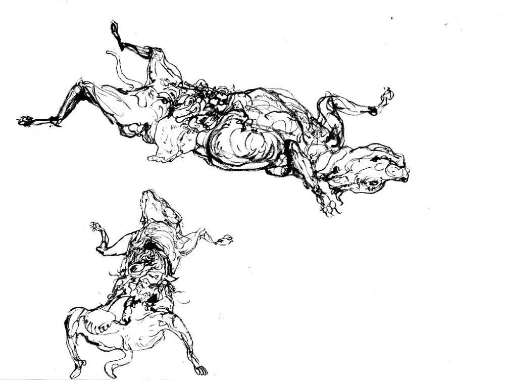 Life drawing of a dissected dog