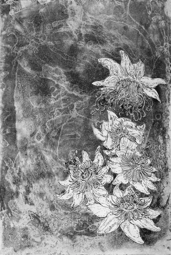 Fine art print: Passion