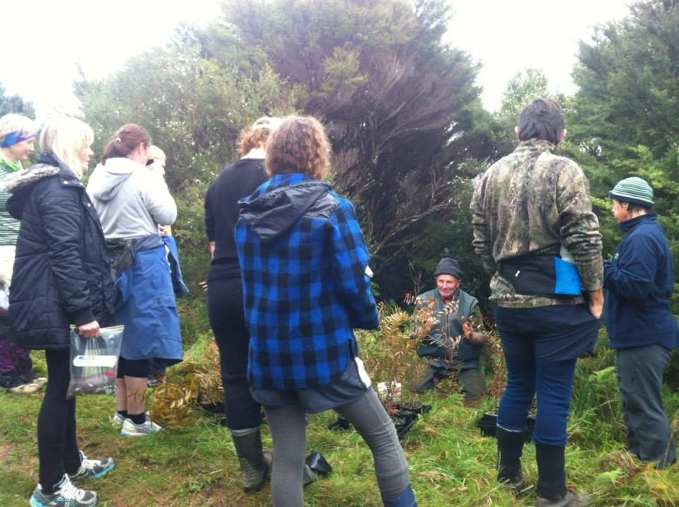 Planting day. Proceeds from the Kauri Run go towards replanting the Coromandel Kauri forest.
