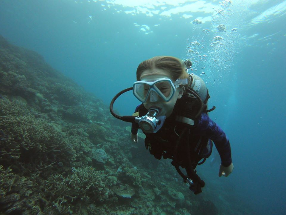 Dive Zone Whitianga — Coromandel Goodness