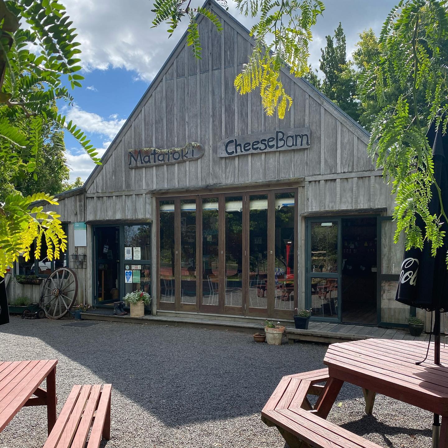Matatoki Cheese Barn is worth a look in &amp; not only for their award winning selection of cheese which is made onsite.  We stopped in this afternoon on our way home from Hamilton.  Perfect place for a cheeseboard &amp; wine outdoors.  Local product