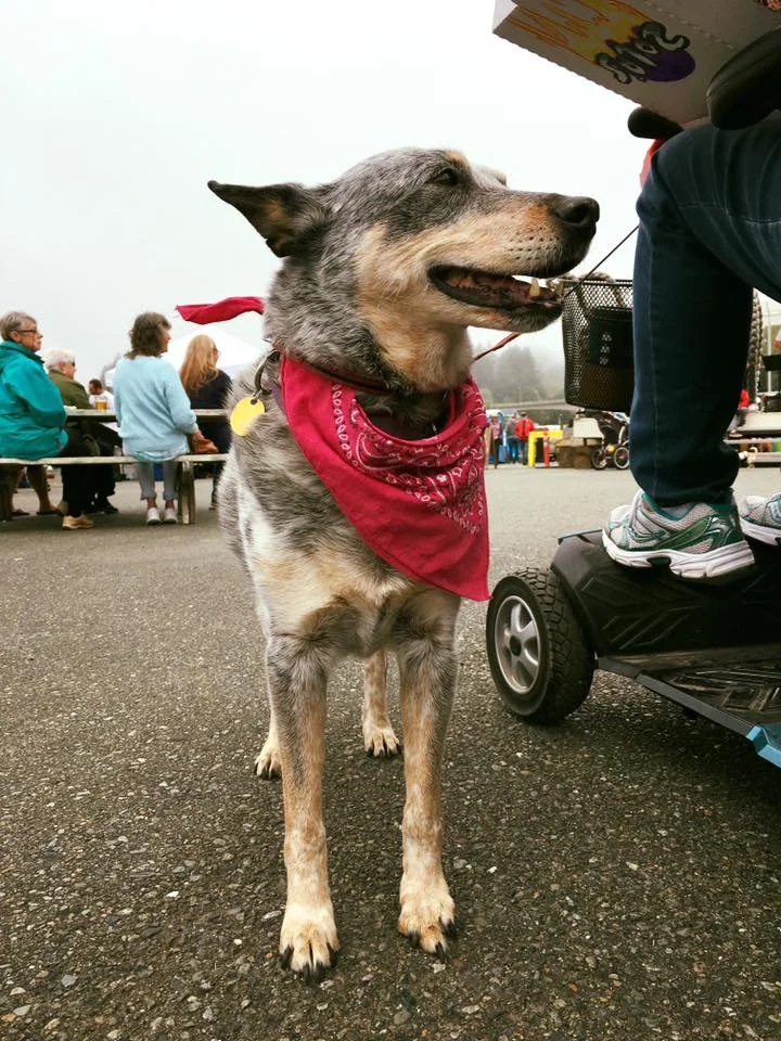 Pic by Bandon Brewing Co
