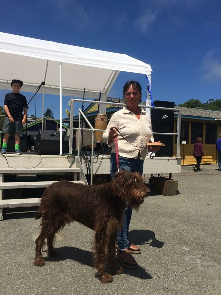 WRAR Most Interesting Rescue Dog Winner