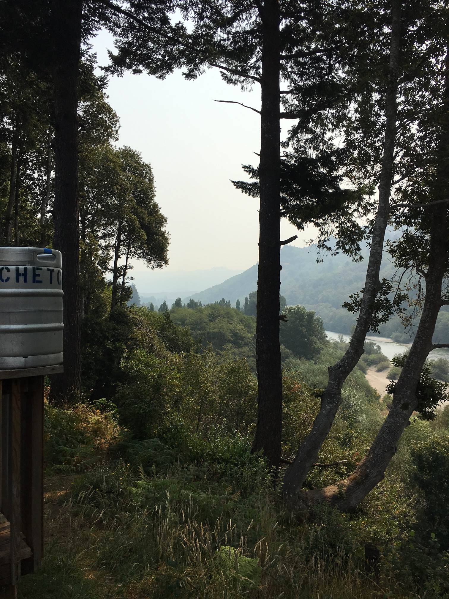 Smokey view from the brewery