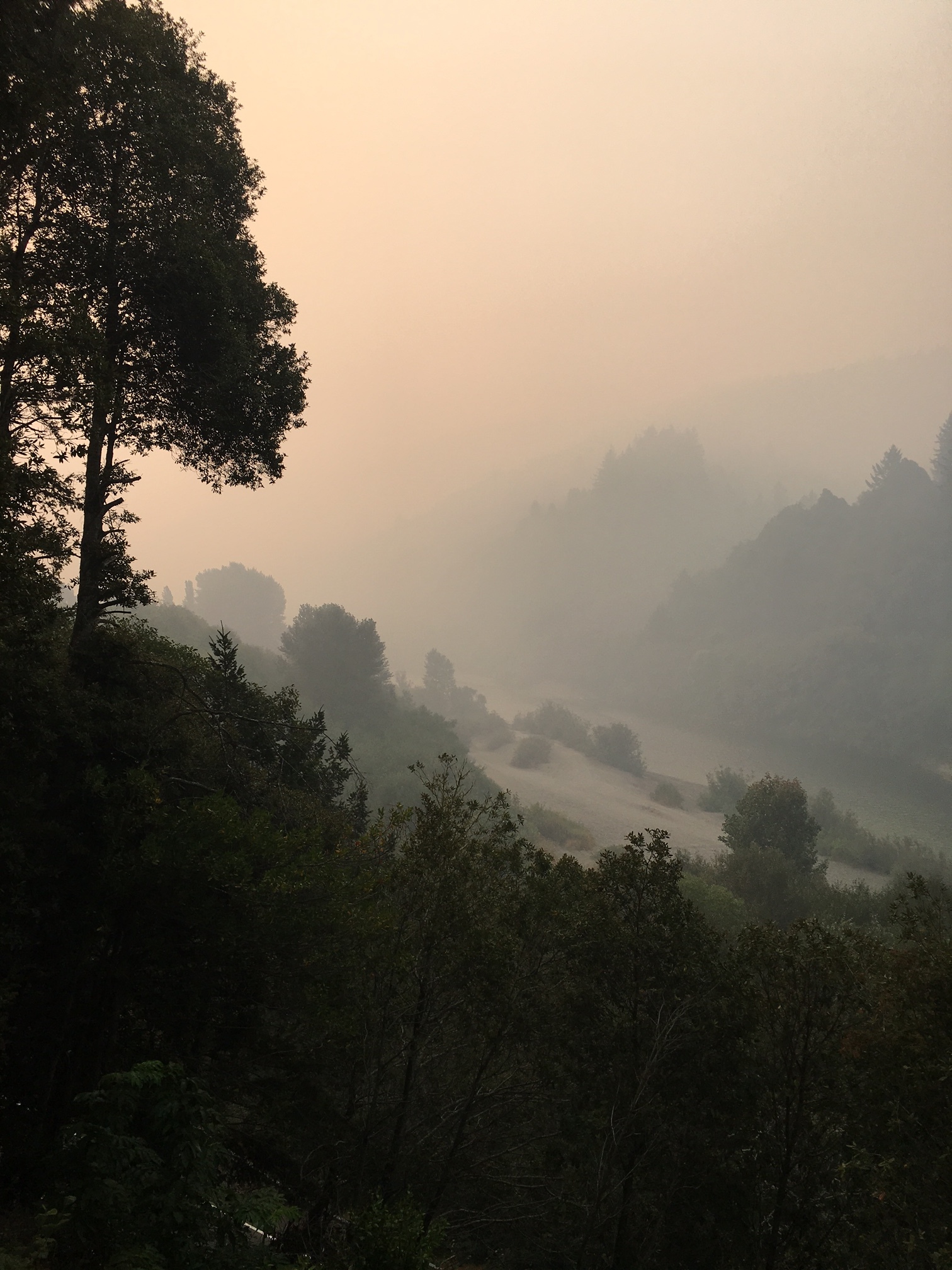 view up Chetco River from Brewery8 am 826.JPG