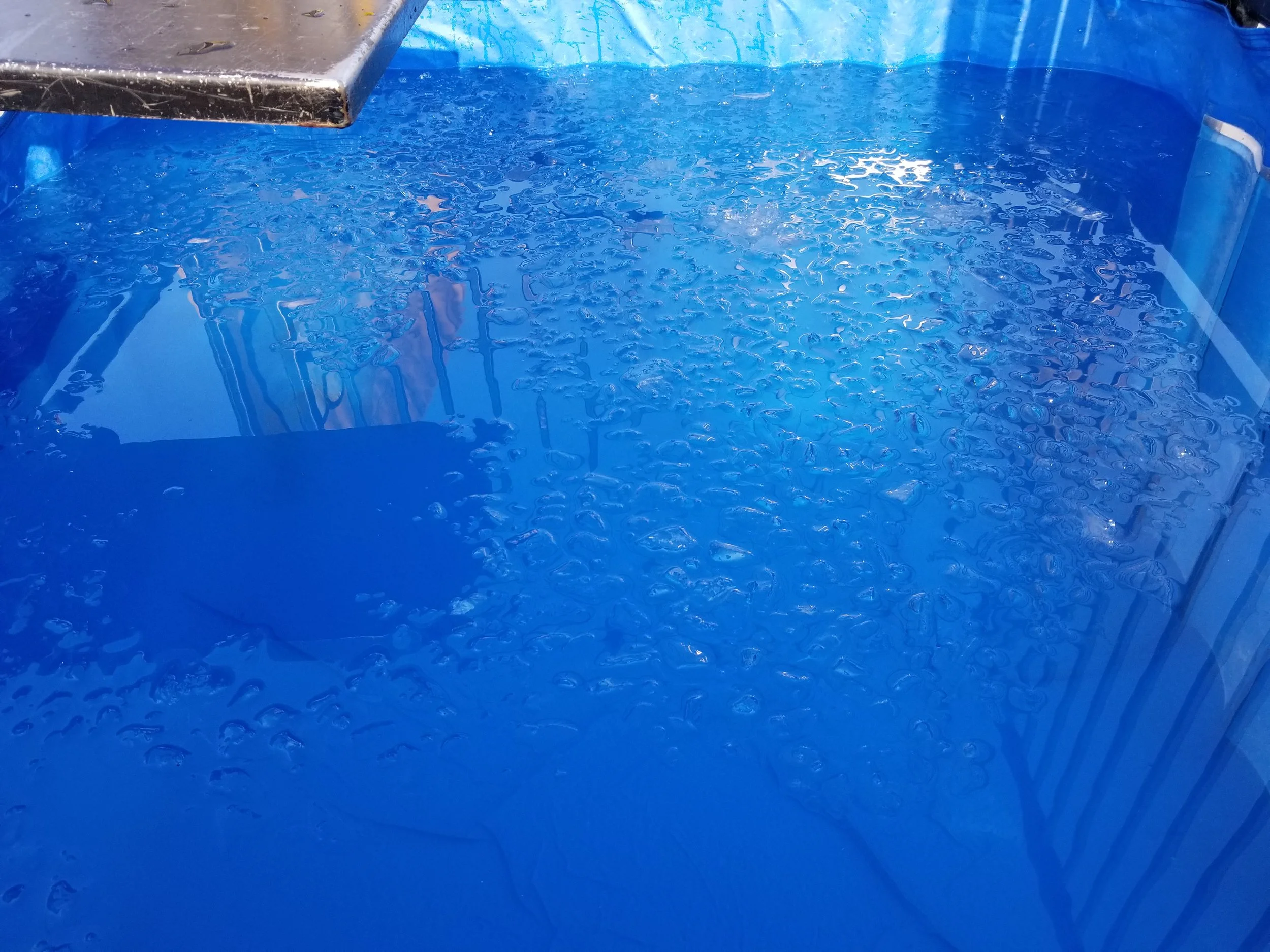 20170916_170625.jpg