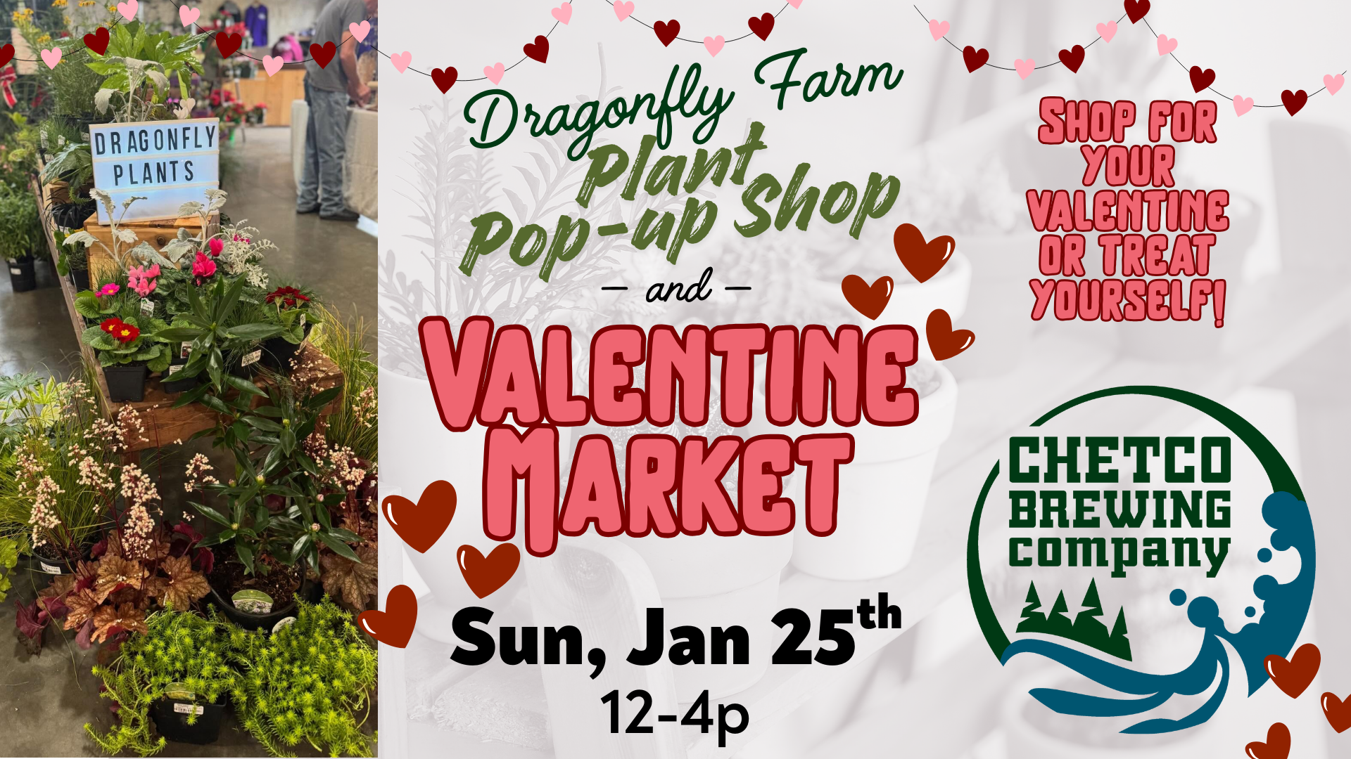 Dragonfly Farm &amp; Nursery Pop Up Shop