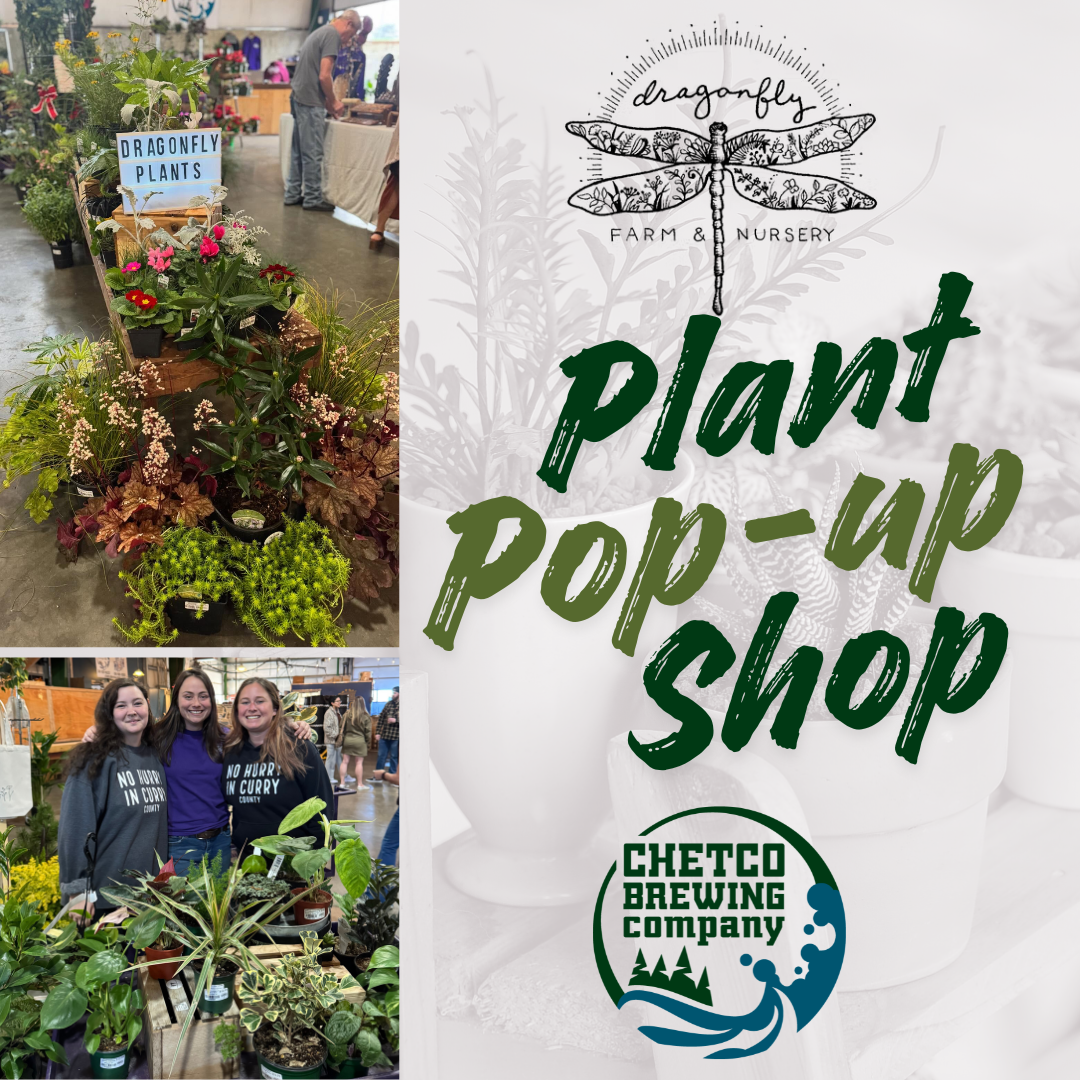 Dragonfly Farm & Nursery Plant Pop-up