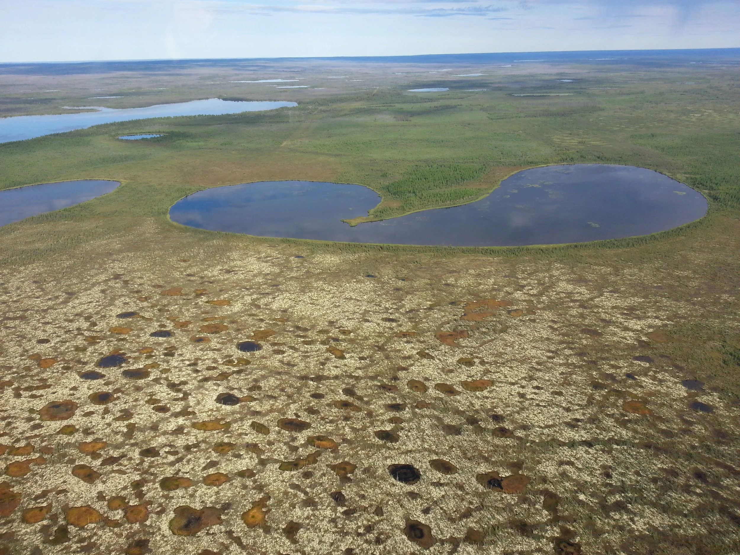 MRB13-3StudyPeatland.jpg
