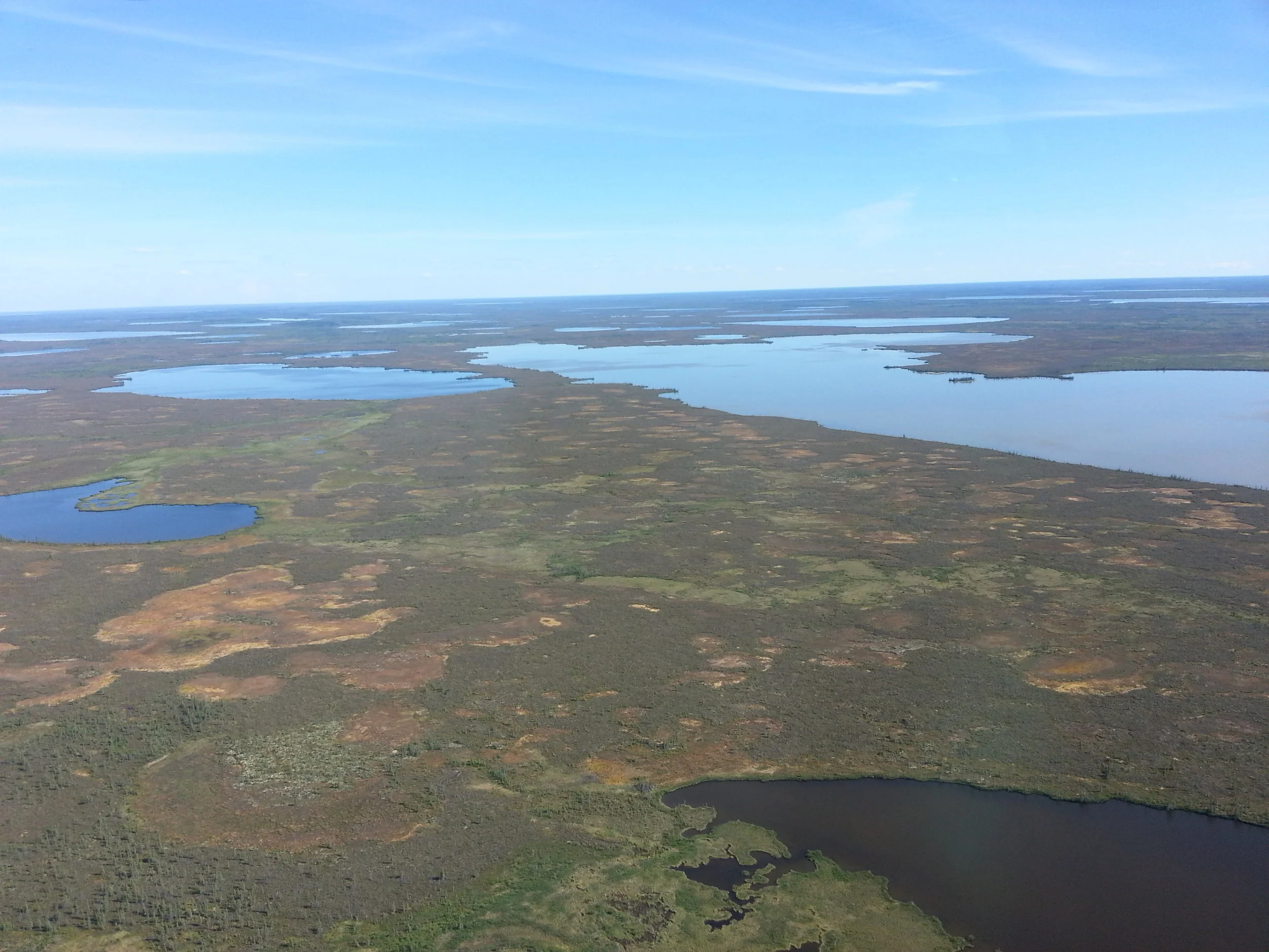 MRB13-8_Peatland.jpg