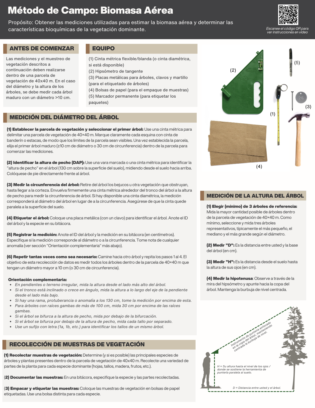 Biomasa aérea