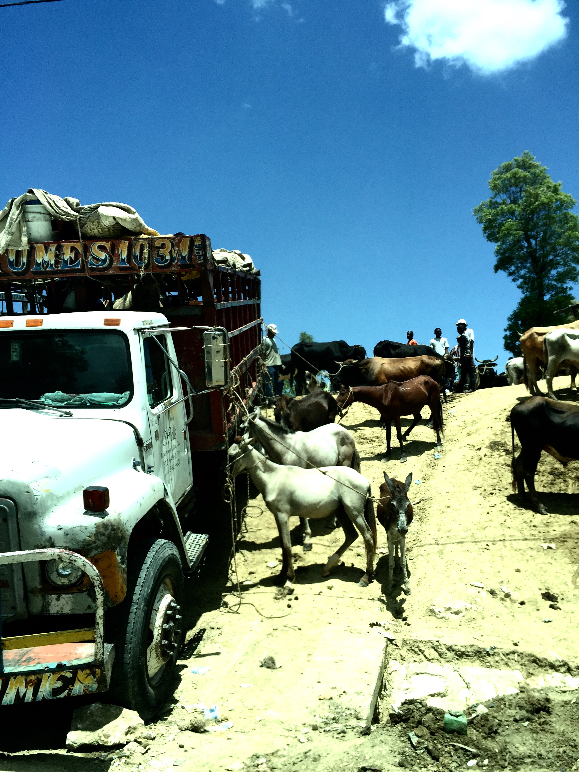Dope Ass Truck - A visual representation of transportation. Old and New.