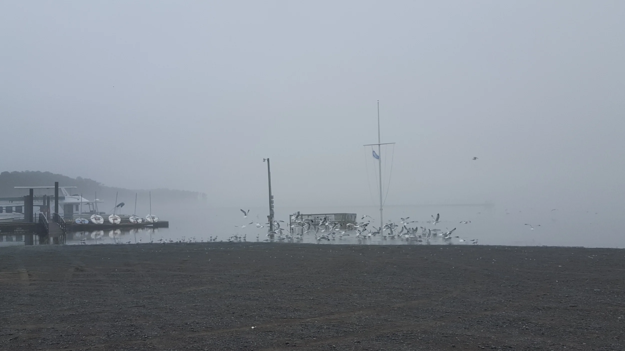 20151226_095350.jpg
