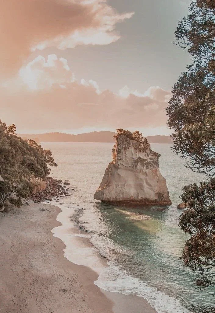 Coastline at golden hour, nature-based wellness and sustainability talks