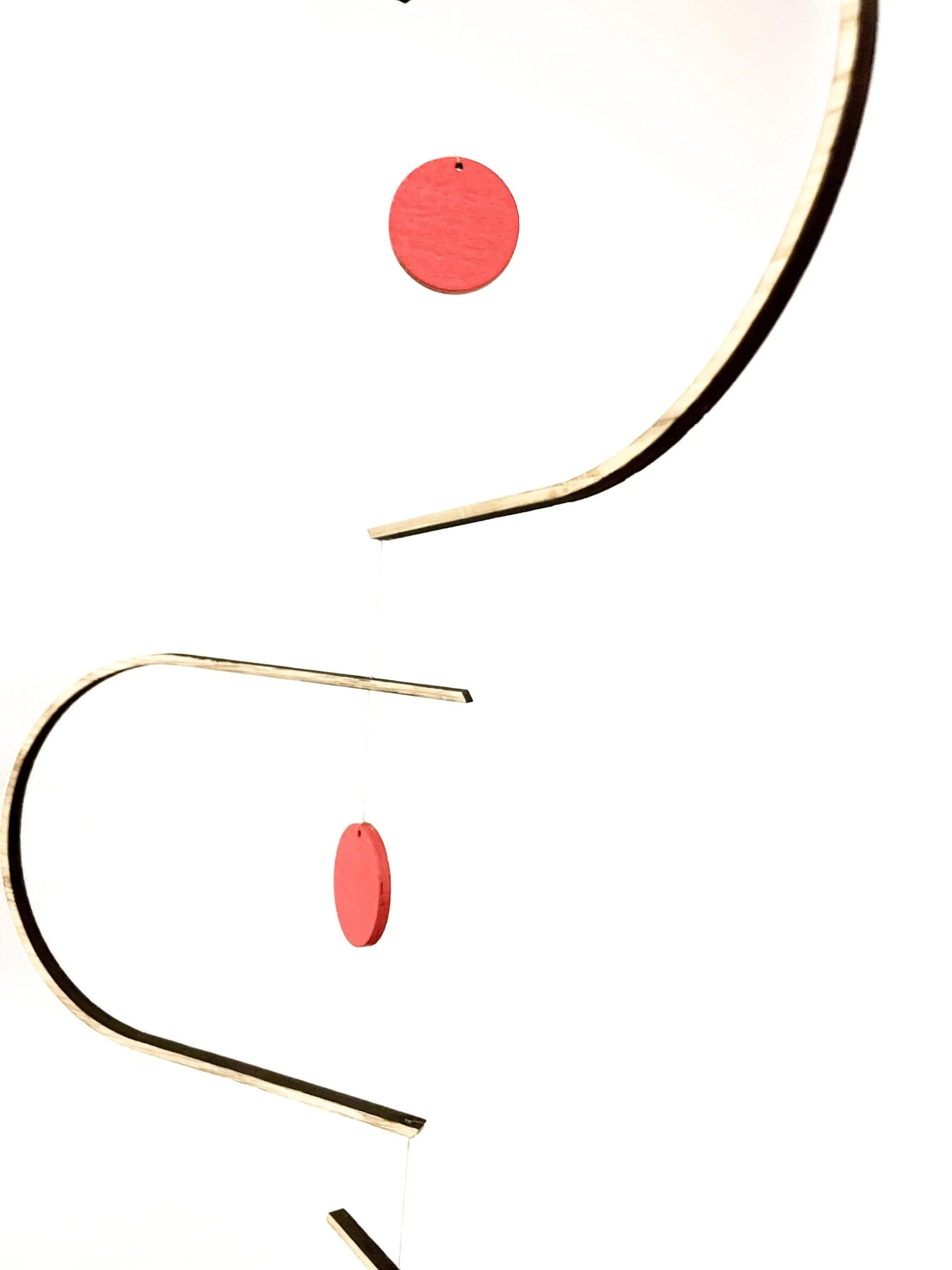 https://i.etsystatic.com/14206400/r/il/36564d/6366828651/il_fullxfull.6366828651_dtuy.jpg