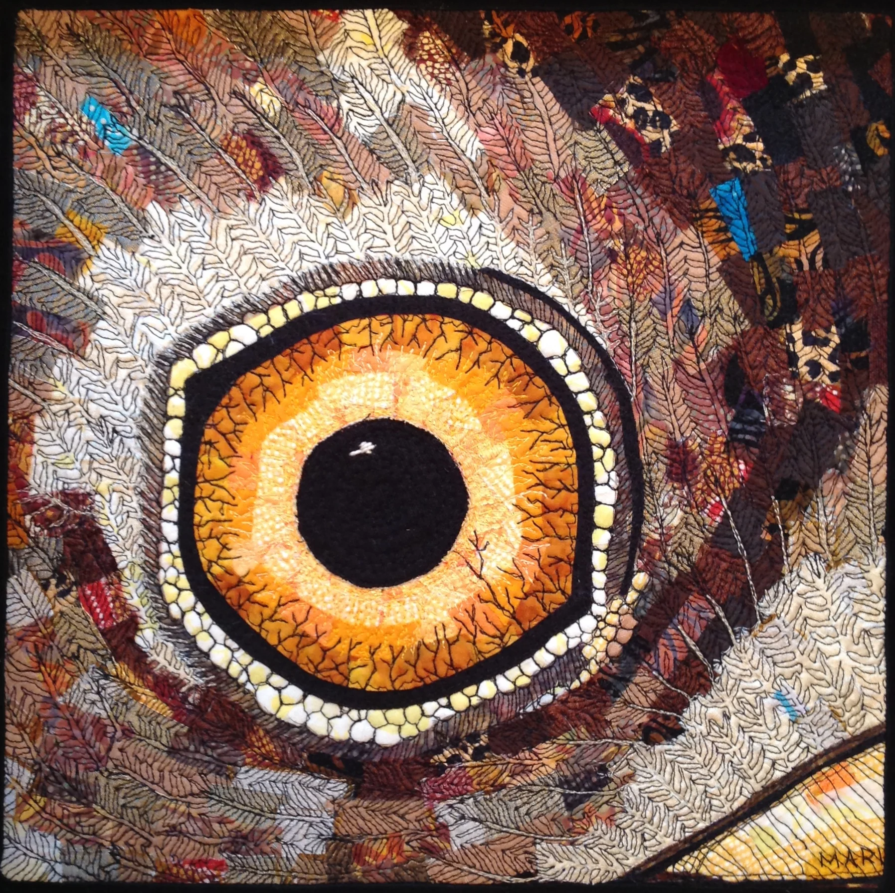 Hawk's Eye