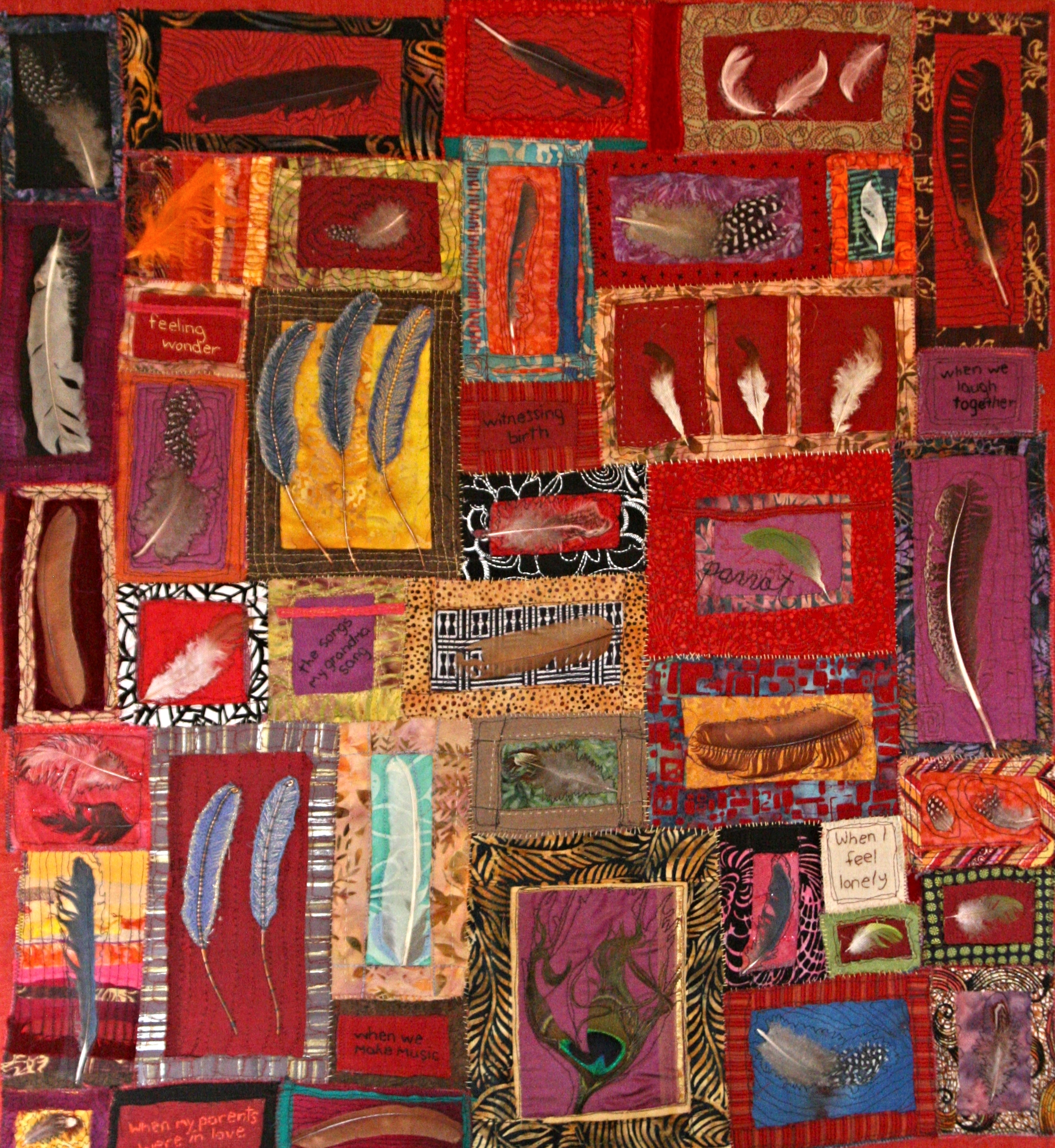 A Collection of Feathers