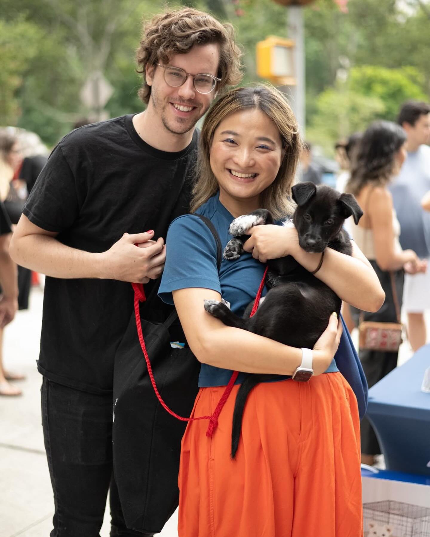 We now have a new family member Long Bao (龍寶）joining us in Brooklyn!! Being only 10 weeks old, she is wicked smart and irresistibly adorable! We named her Long Bao (dragon baby in Mandrian) and nick names are Lobo, Lolo, Lou, Baobao, Bobo&hellip;Come