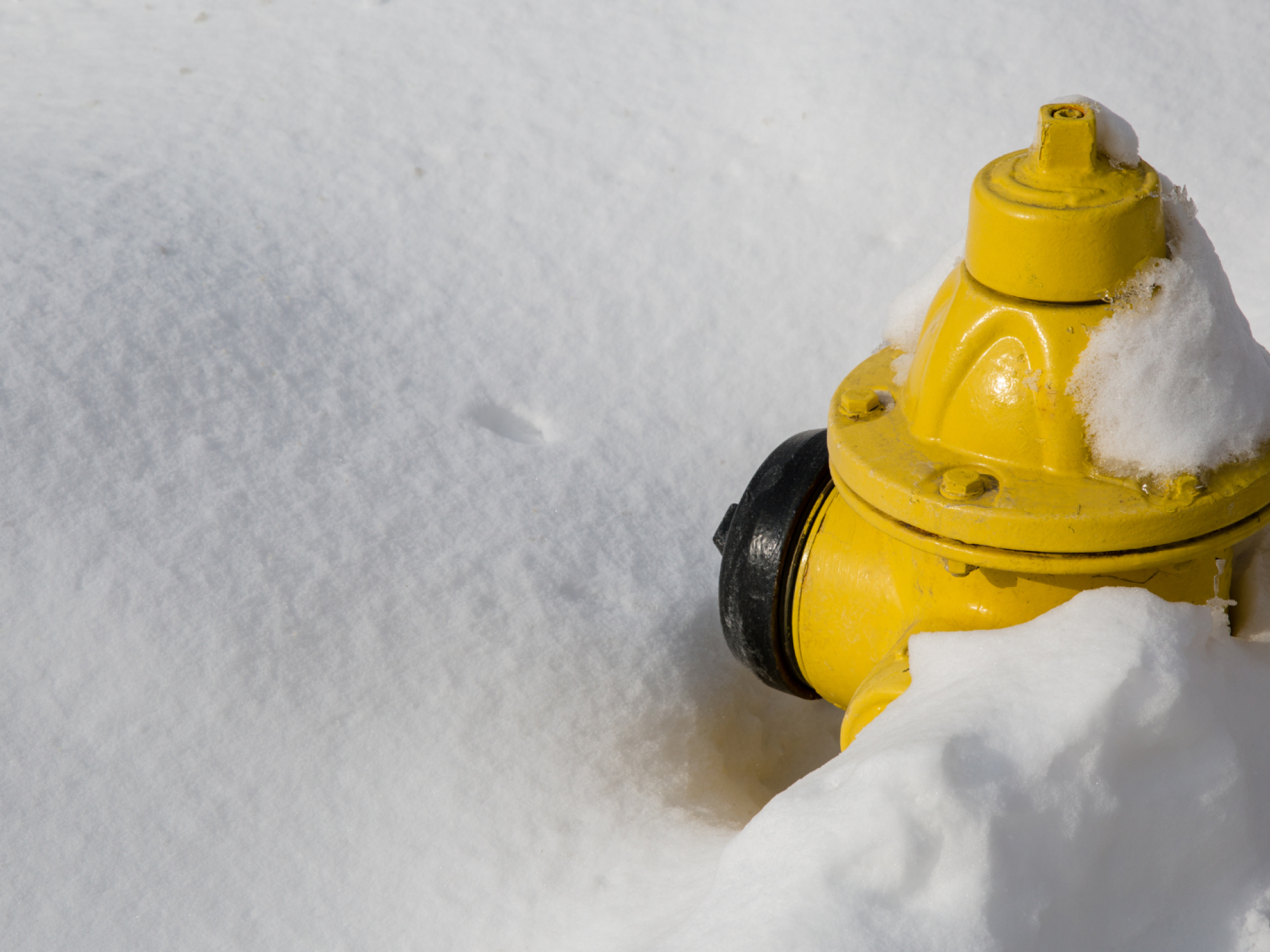 Hydrant In Snow.png