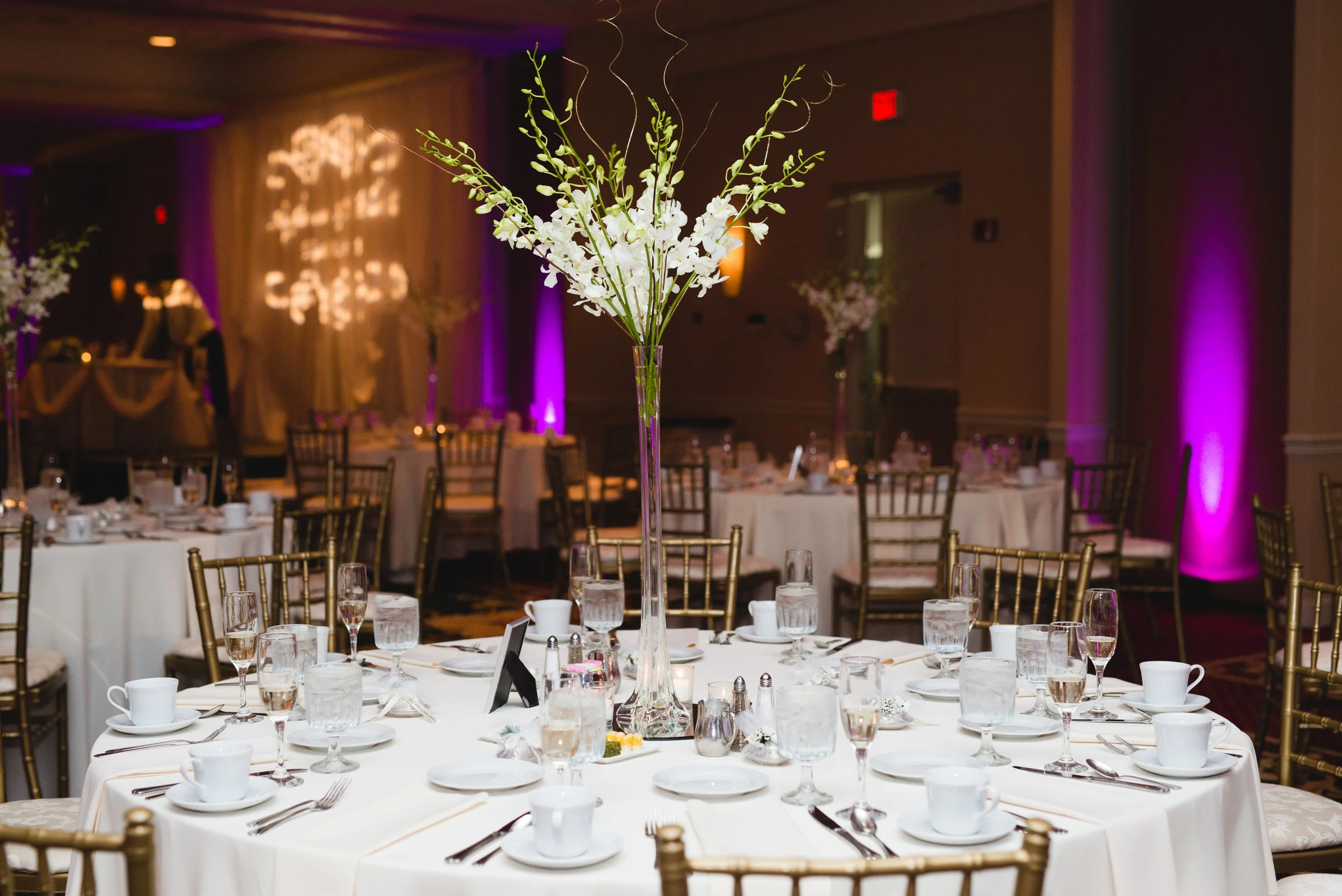 Arghavan Mehdi-Reception-0011.jpg