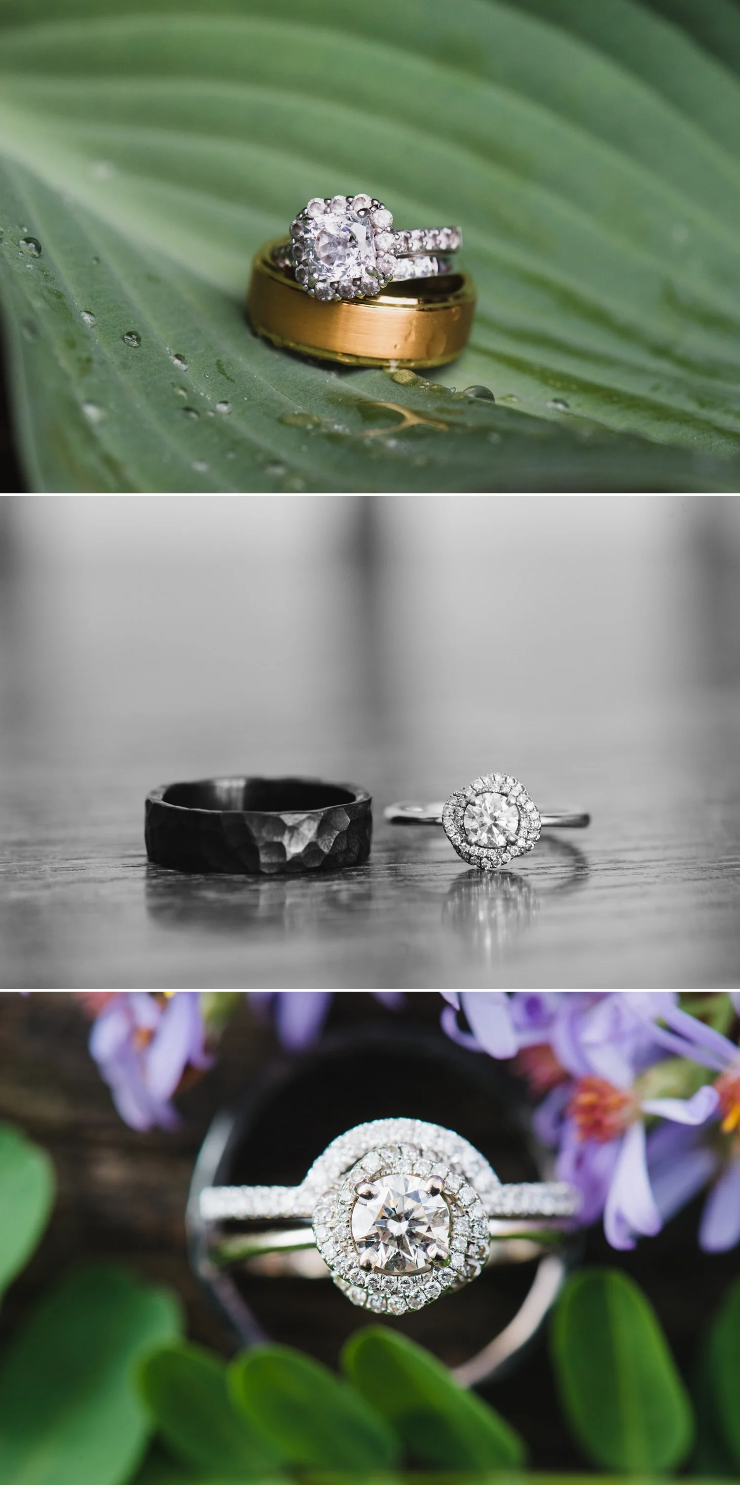 ashleigh wedding ring