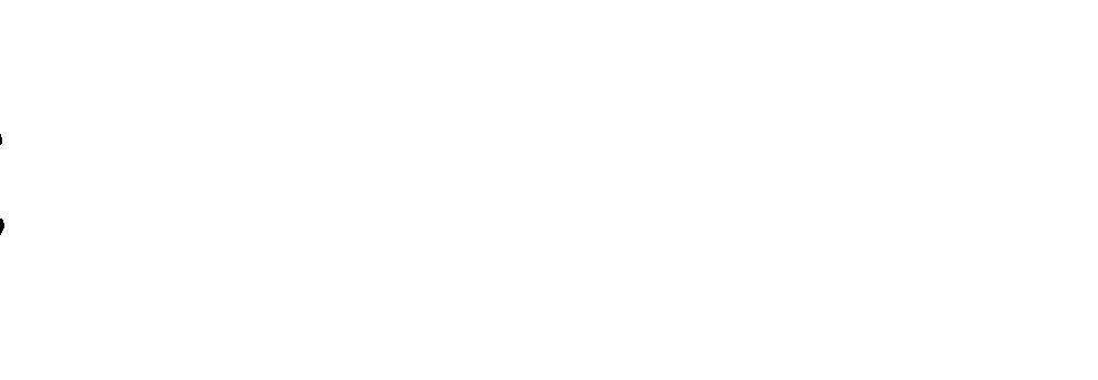 agnesbic