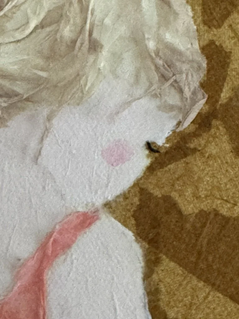 Zoe's Dream detail2.jpg
