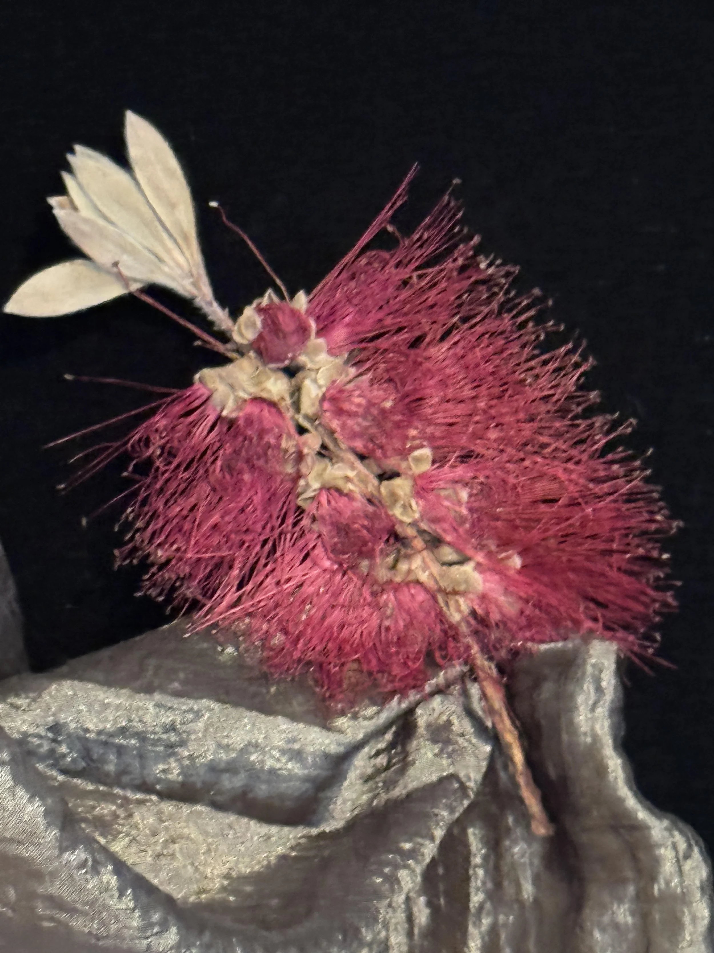 Fairy Dress Detail1.jpg