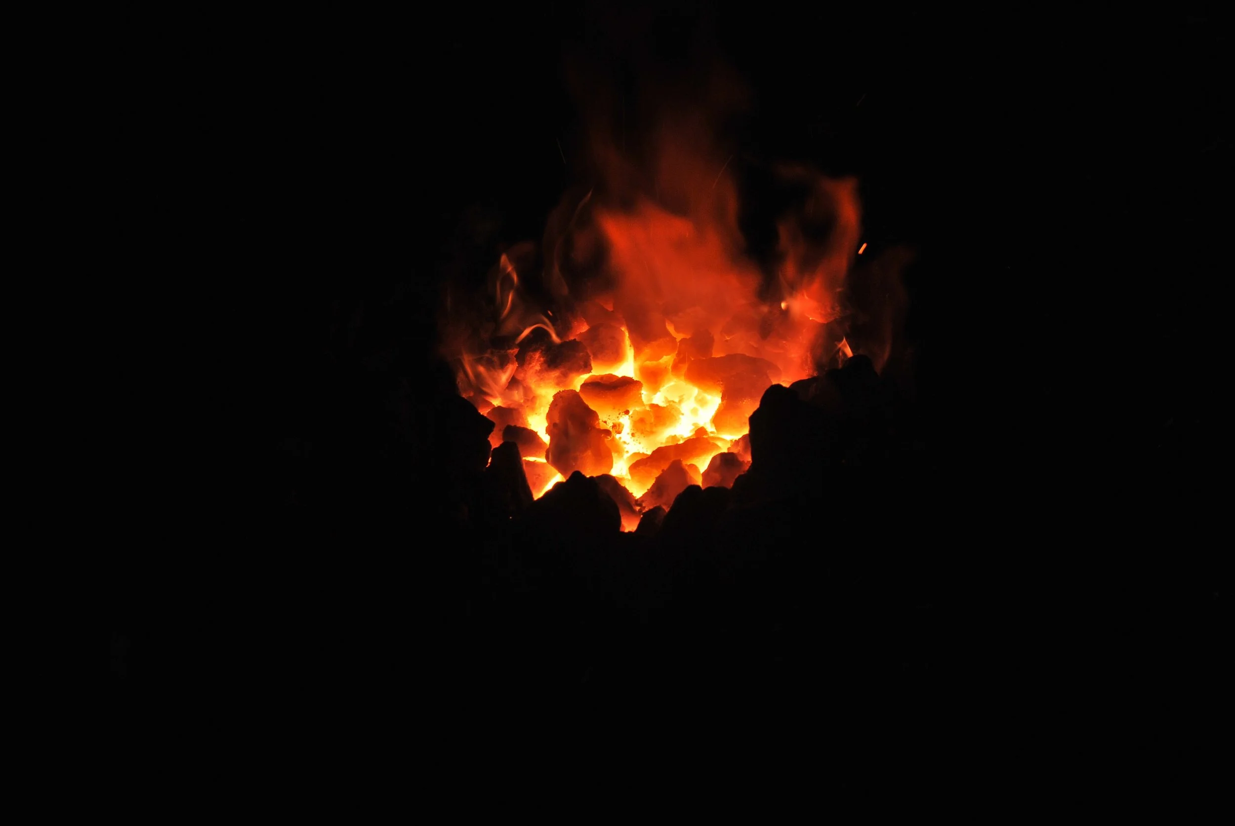 Human Health & Aging