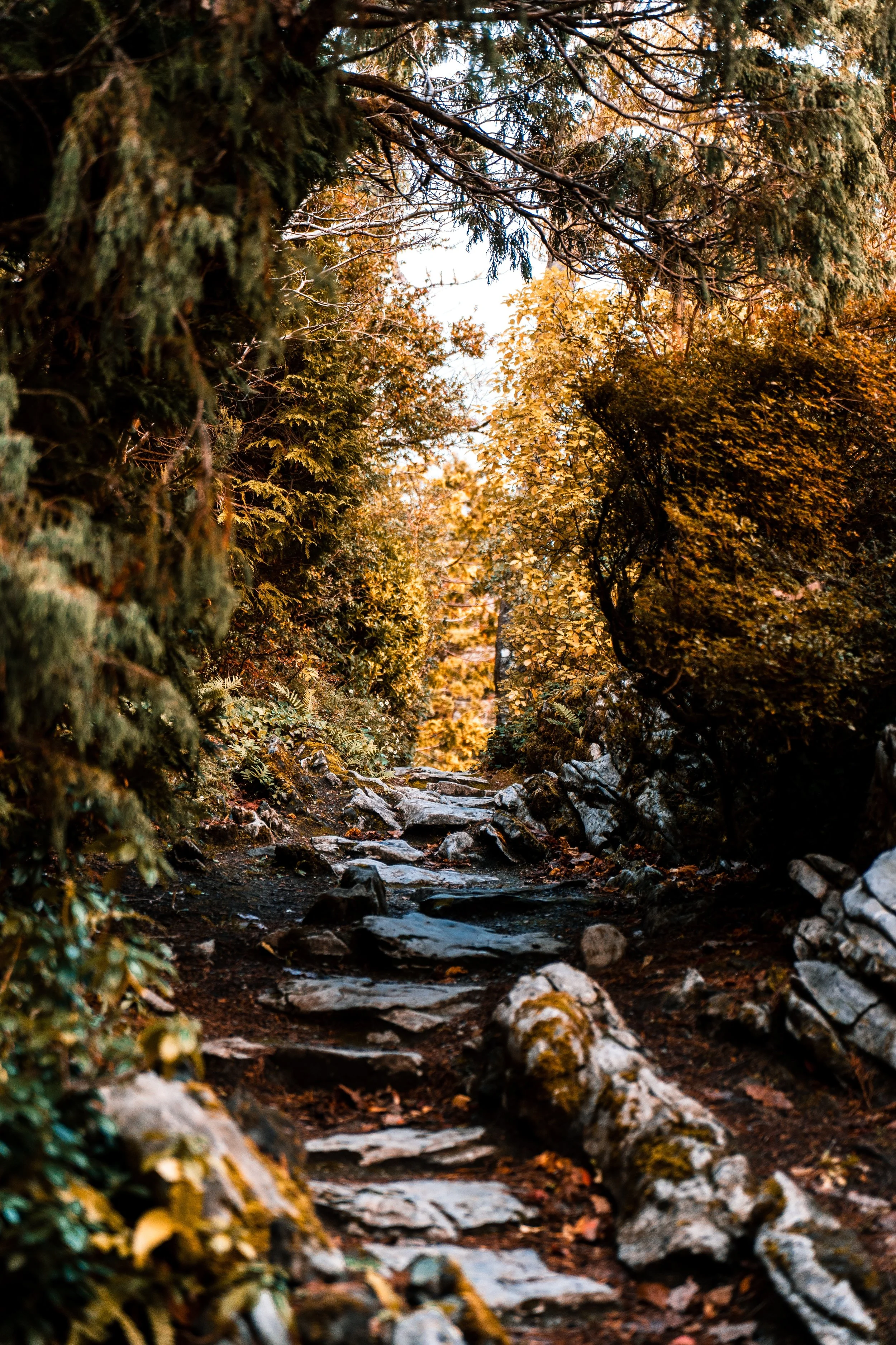 Positive - Nature. 