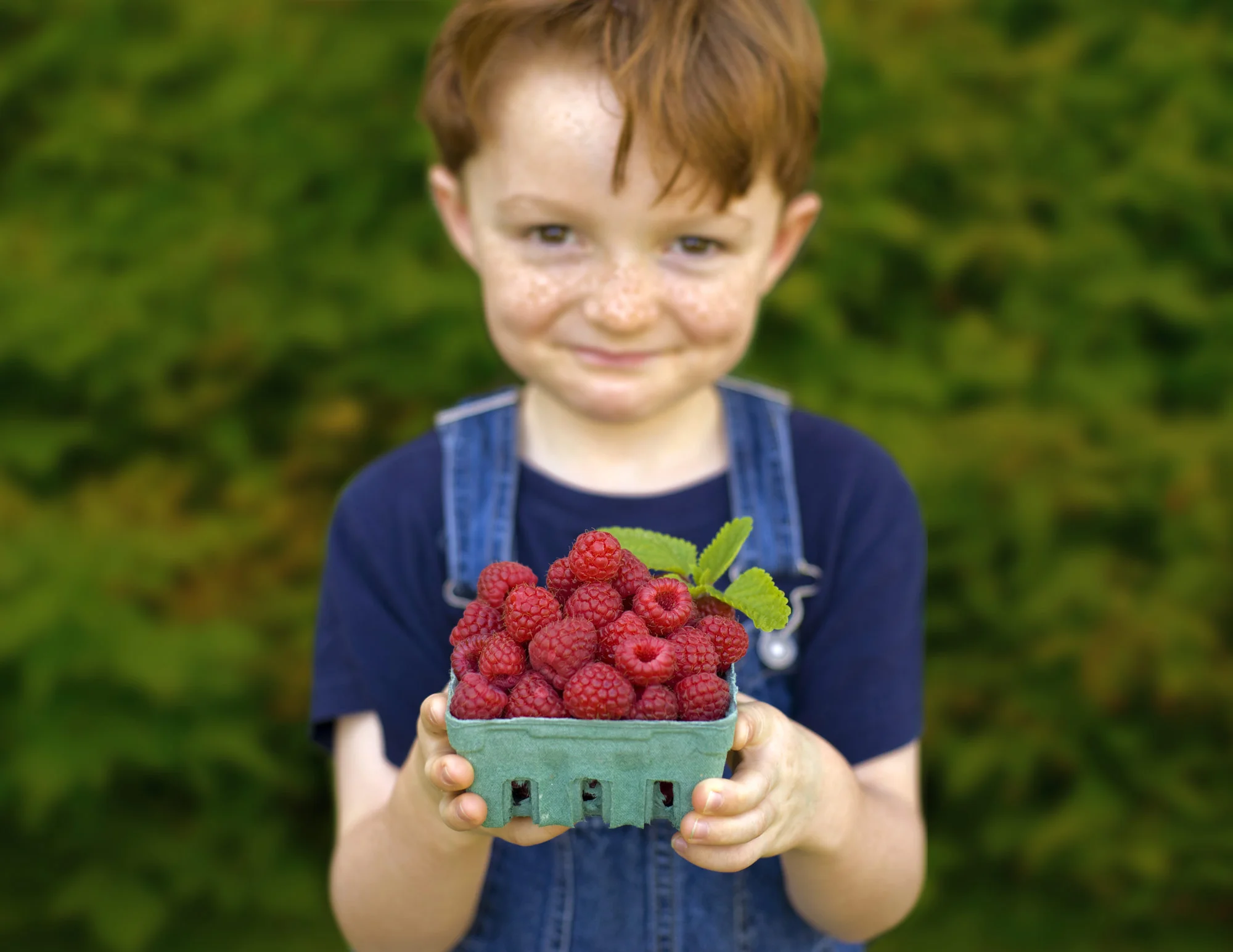iStock-172964979_2000px.jpg